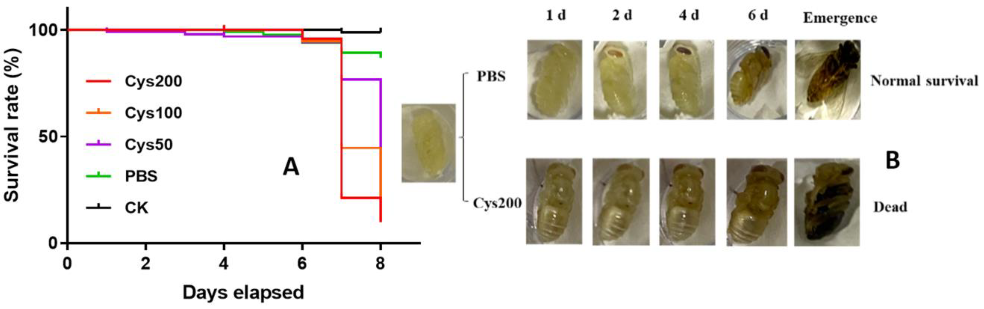 Animals 13 03660 g003