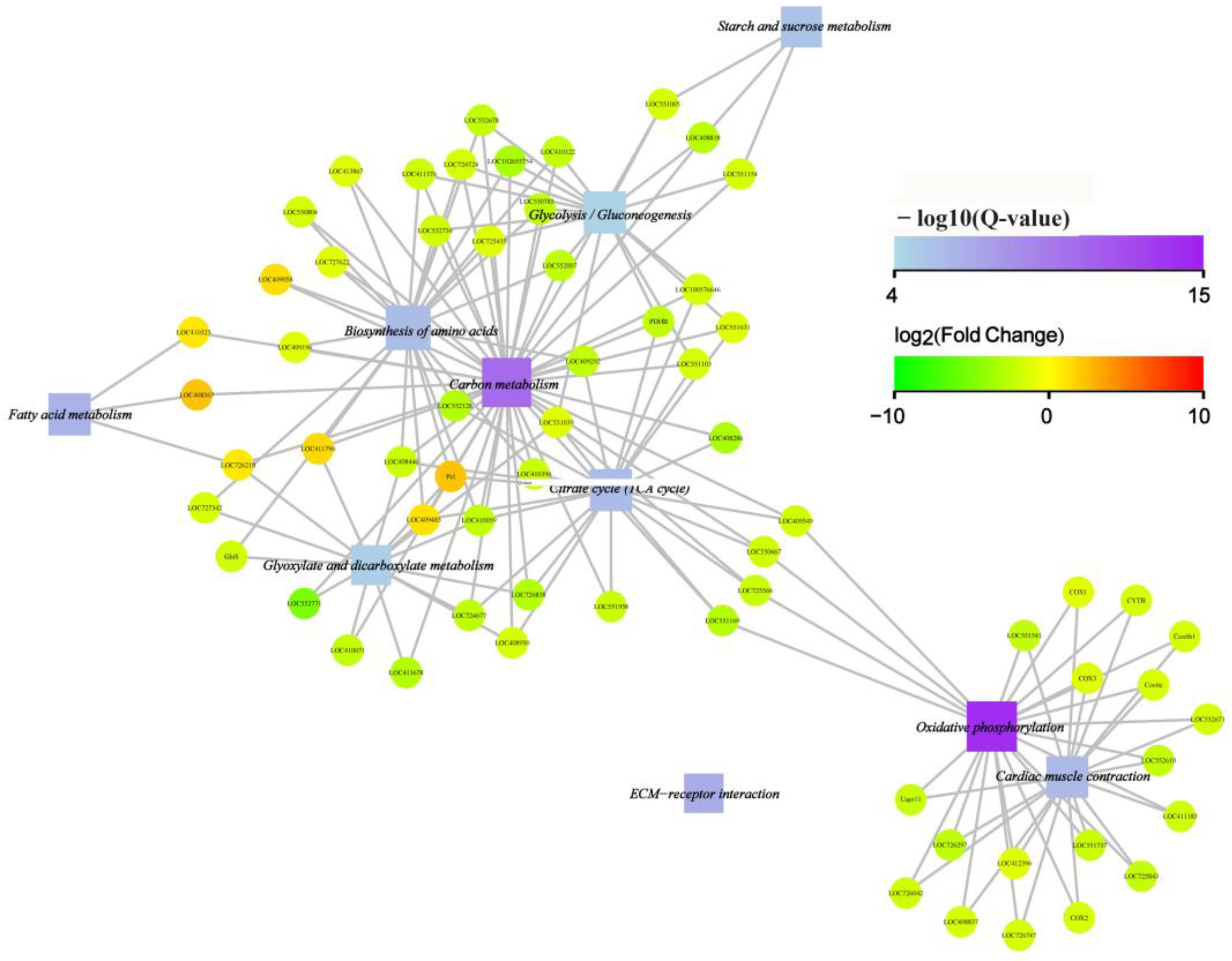 Animals 13 03660 g008