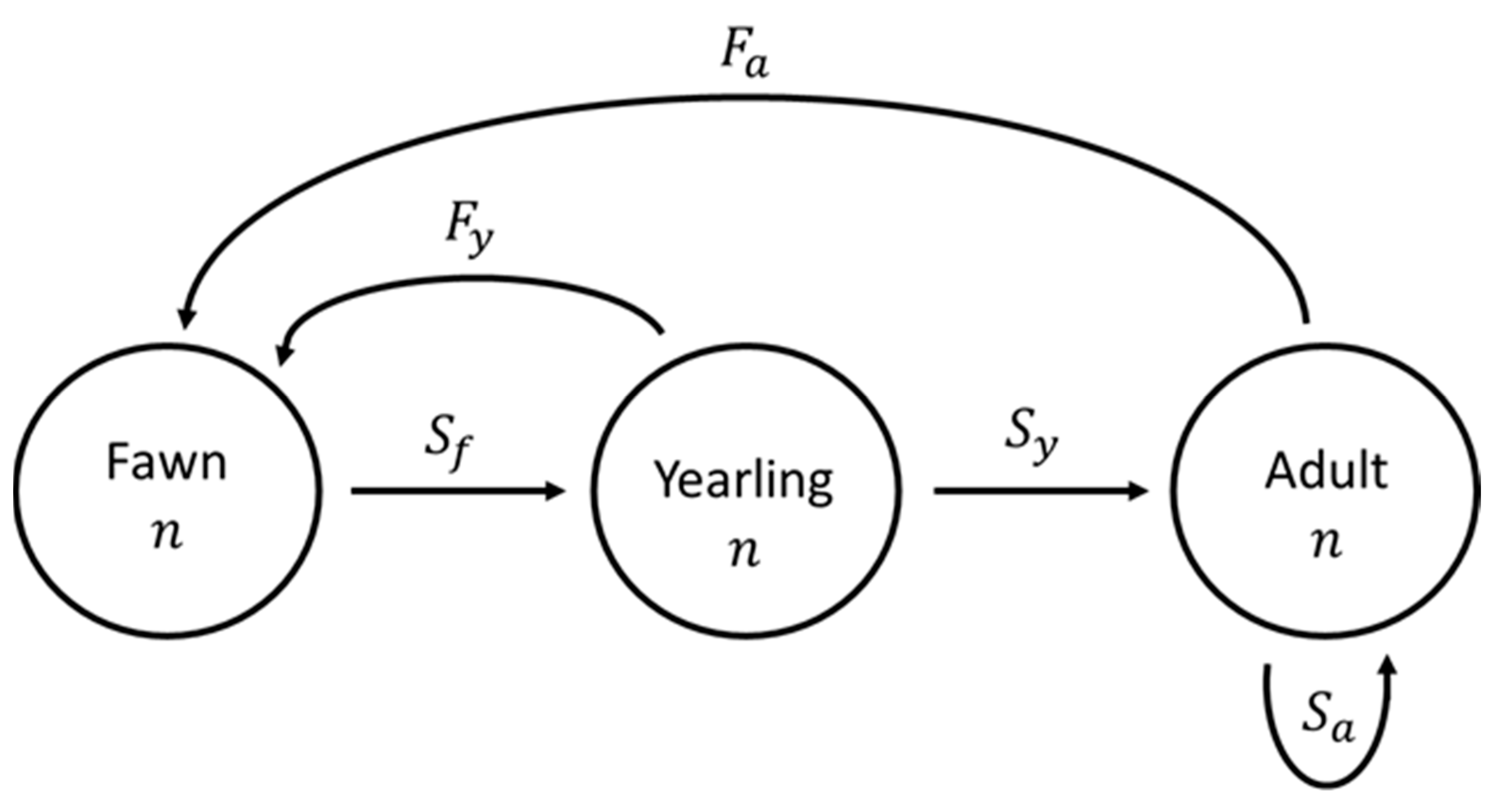 Animals 13 03675 g001