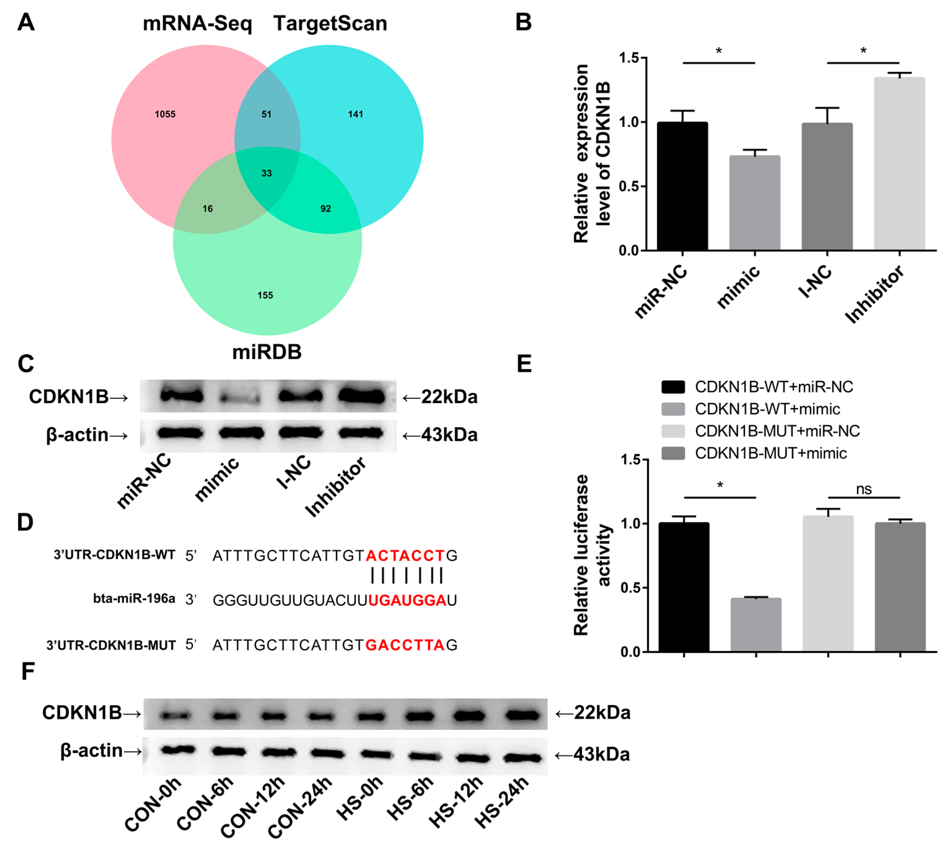Animals 13 03682 g004 Animals 13 03682 g004