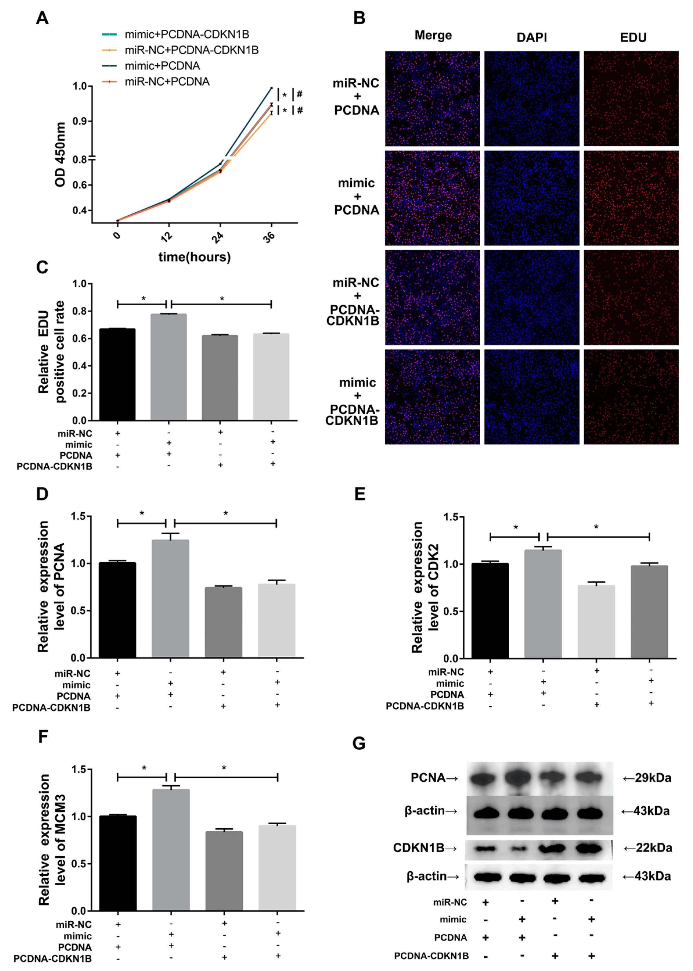 Animals 13 03682 g005 Animals 13 03682 g005