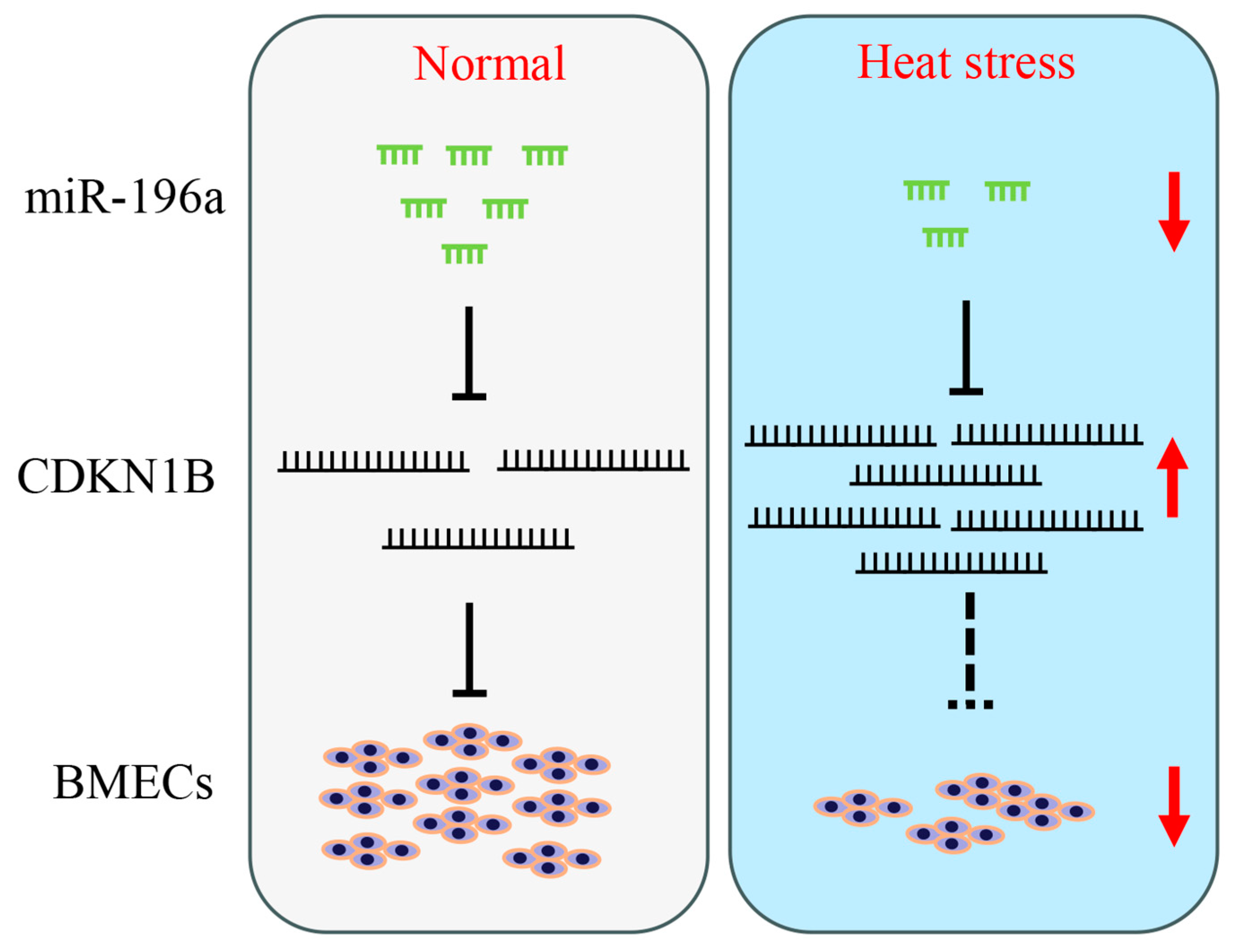 Animals 13 03682 g006 Animals 13 03682 g006