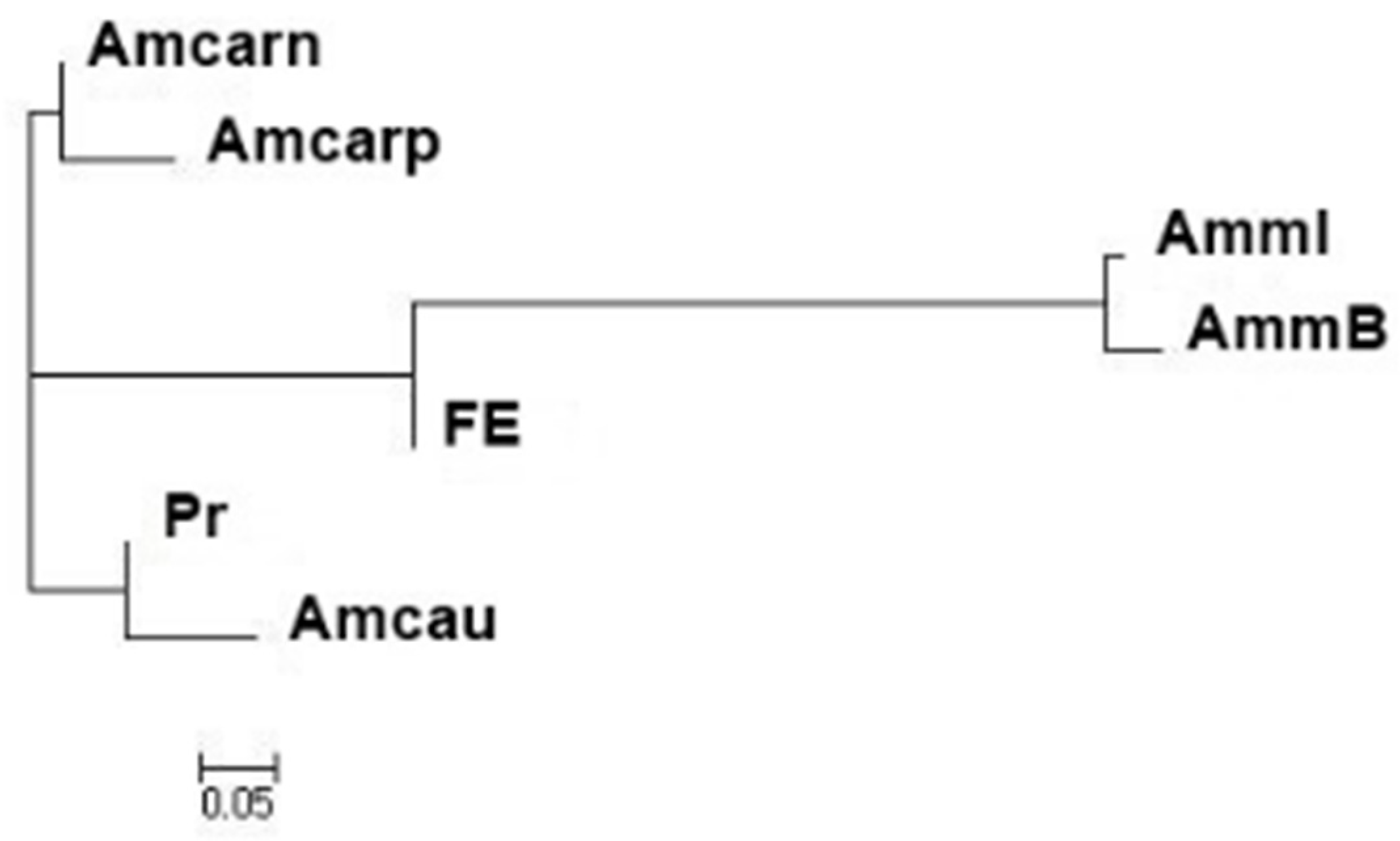 Animals 13 03684 g001