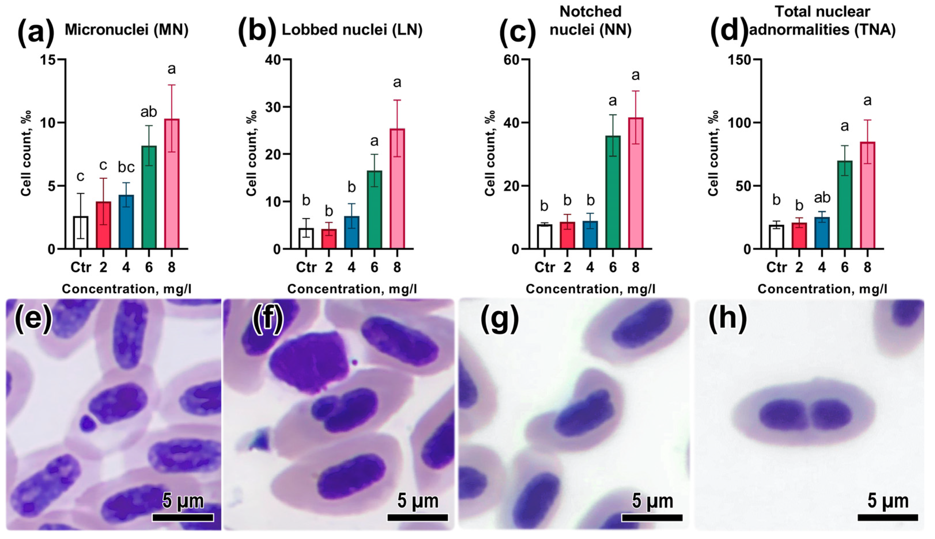 Animals 13 03685 g004