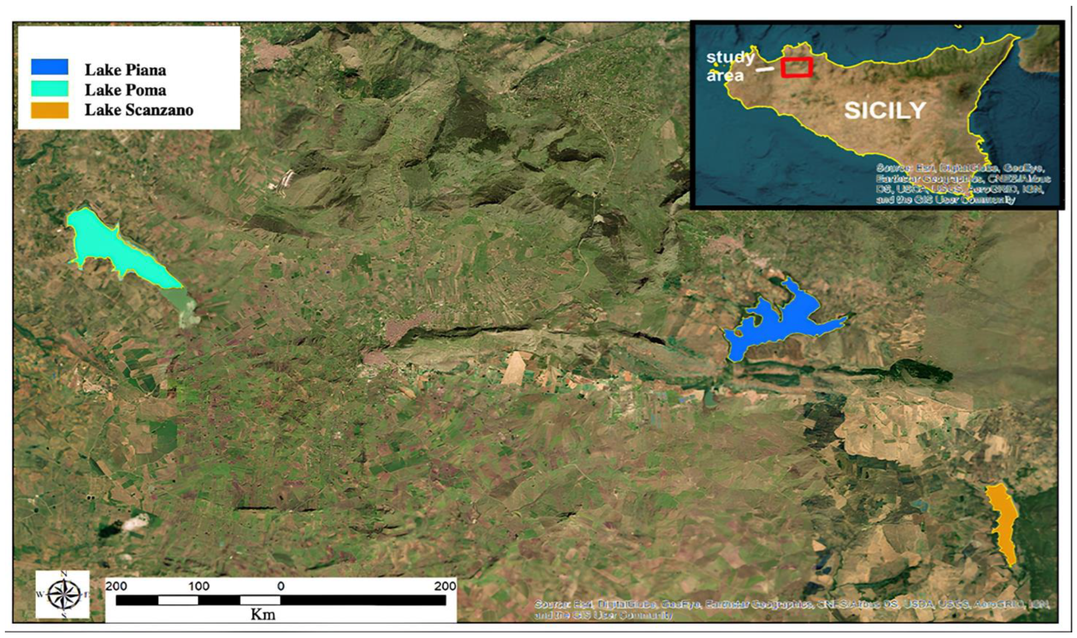 Animals 13 03687 g001