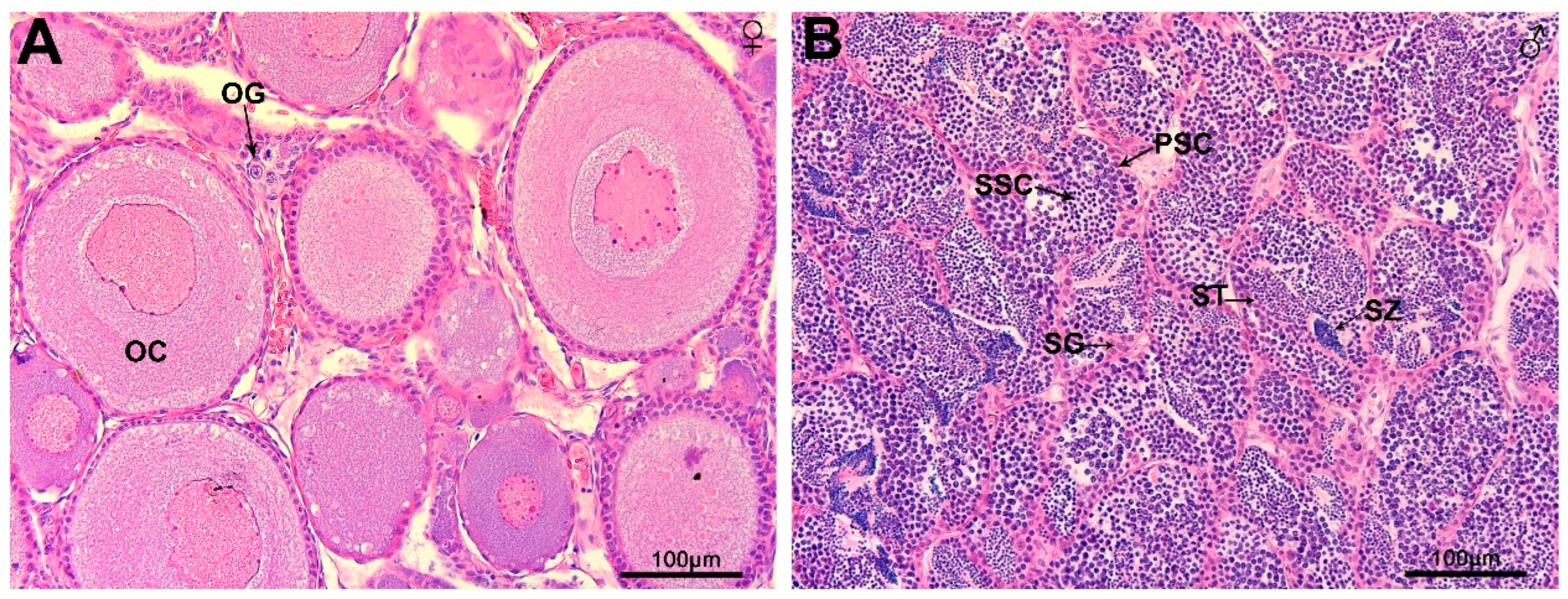 Animals 13 03690 g001