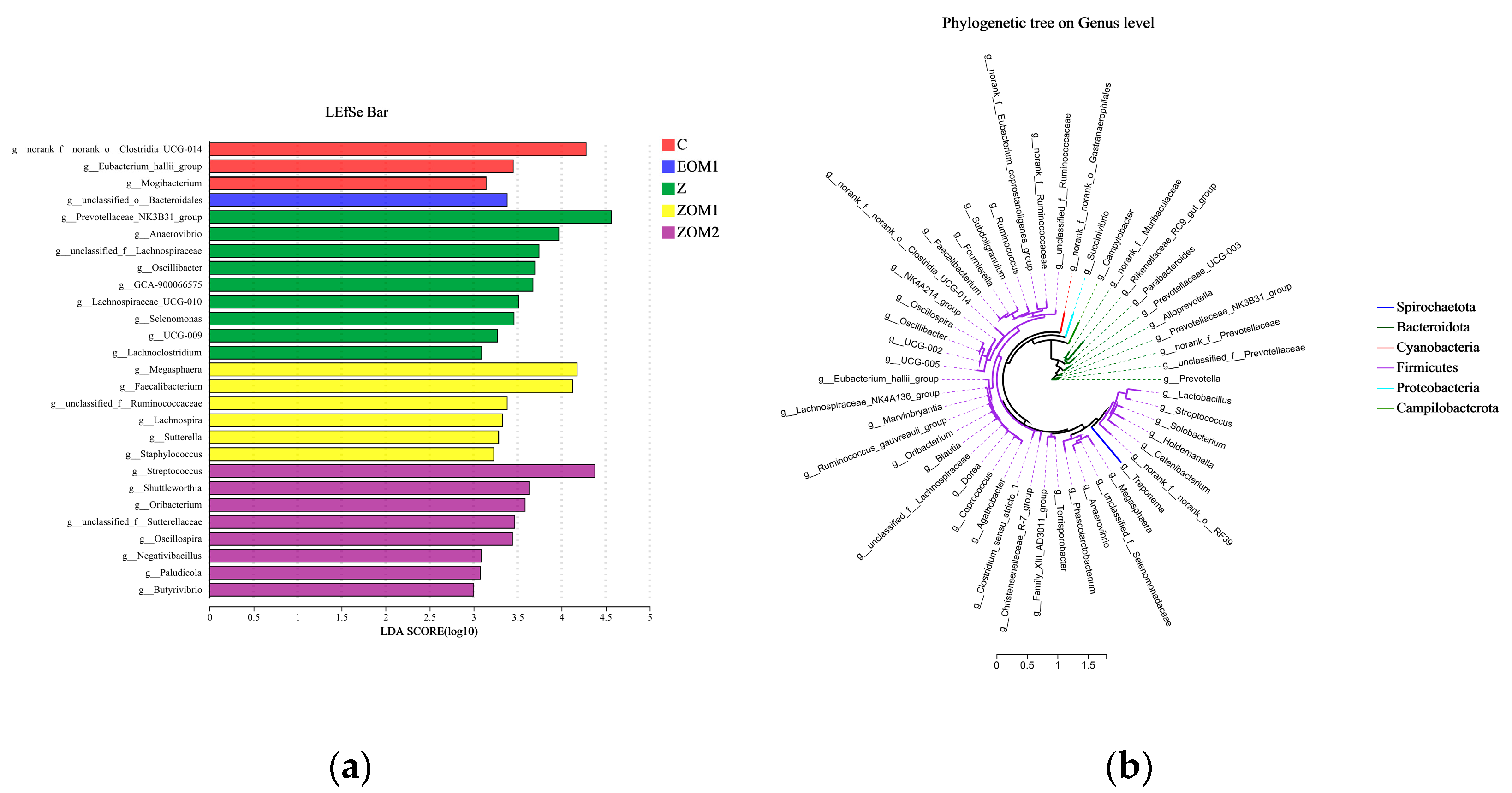 Animals 13 03697 g005