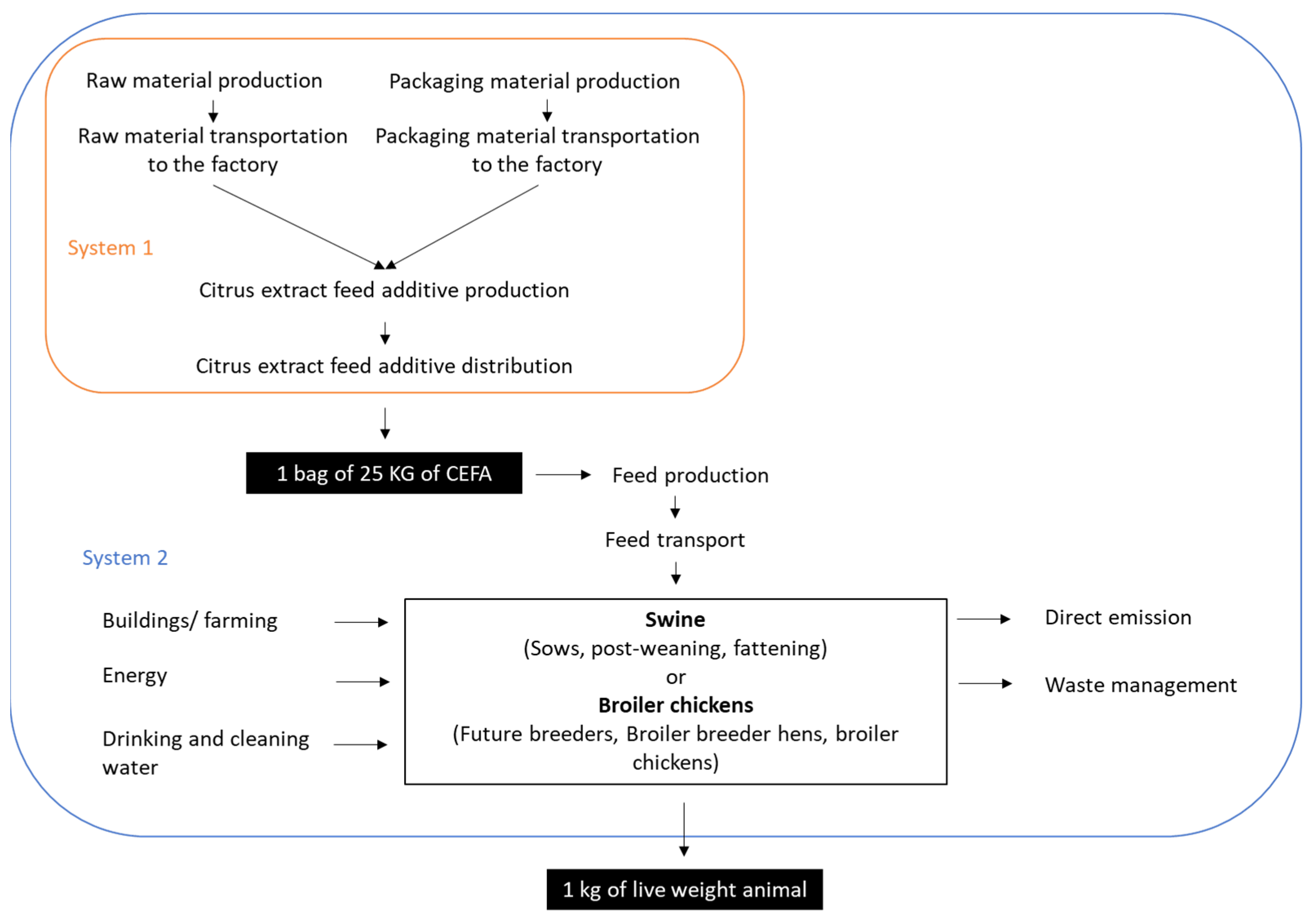 Animals 13 03702 g001