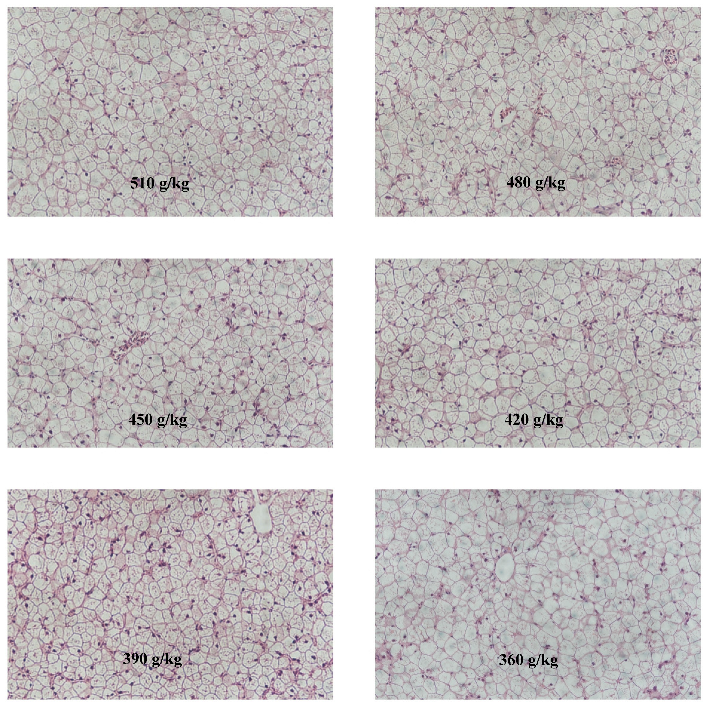 Animals 13 03710 g002