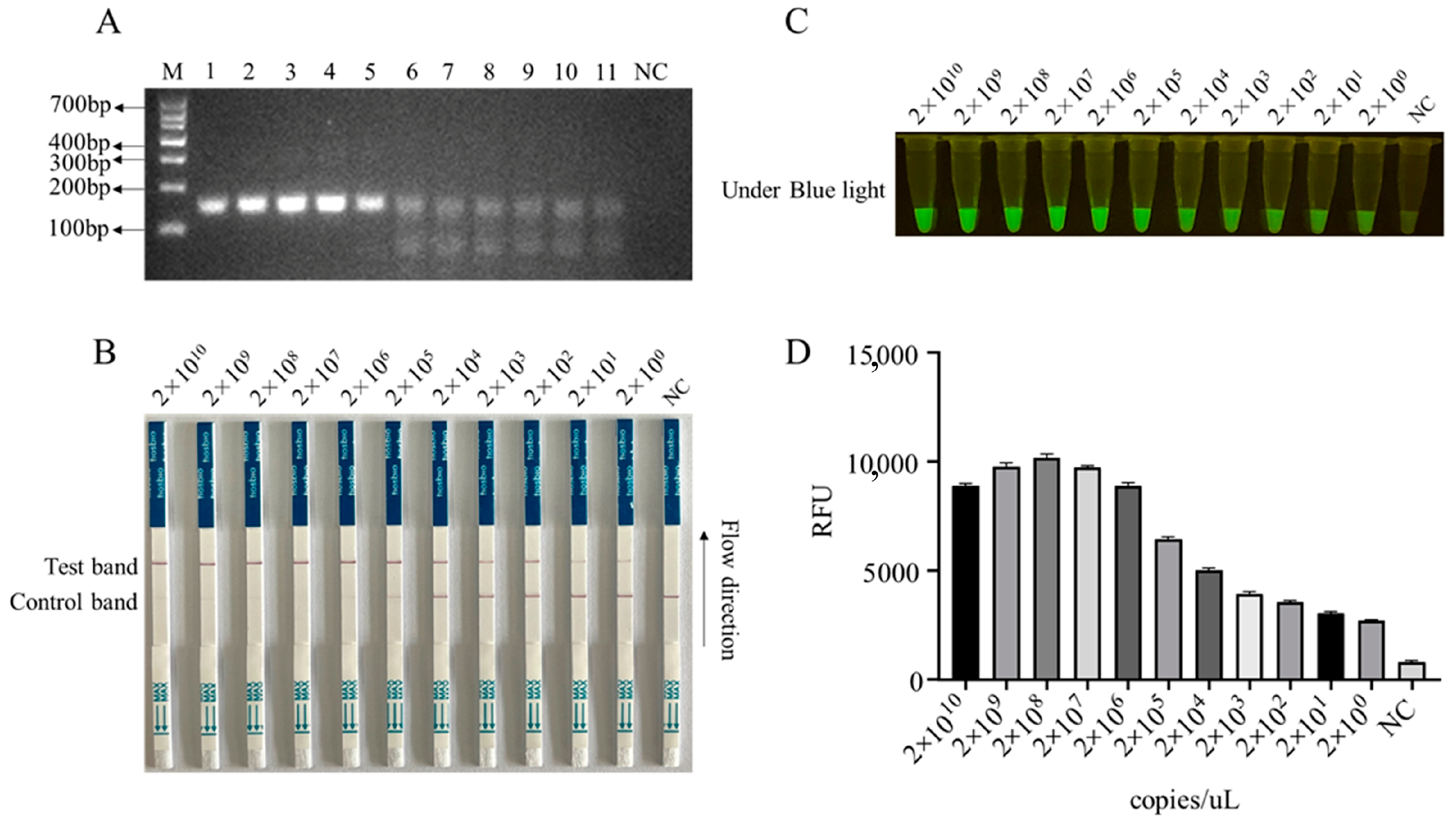 Animals 13 03712 g004