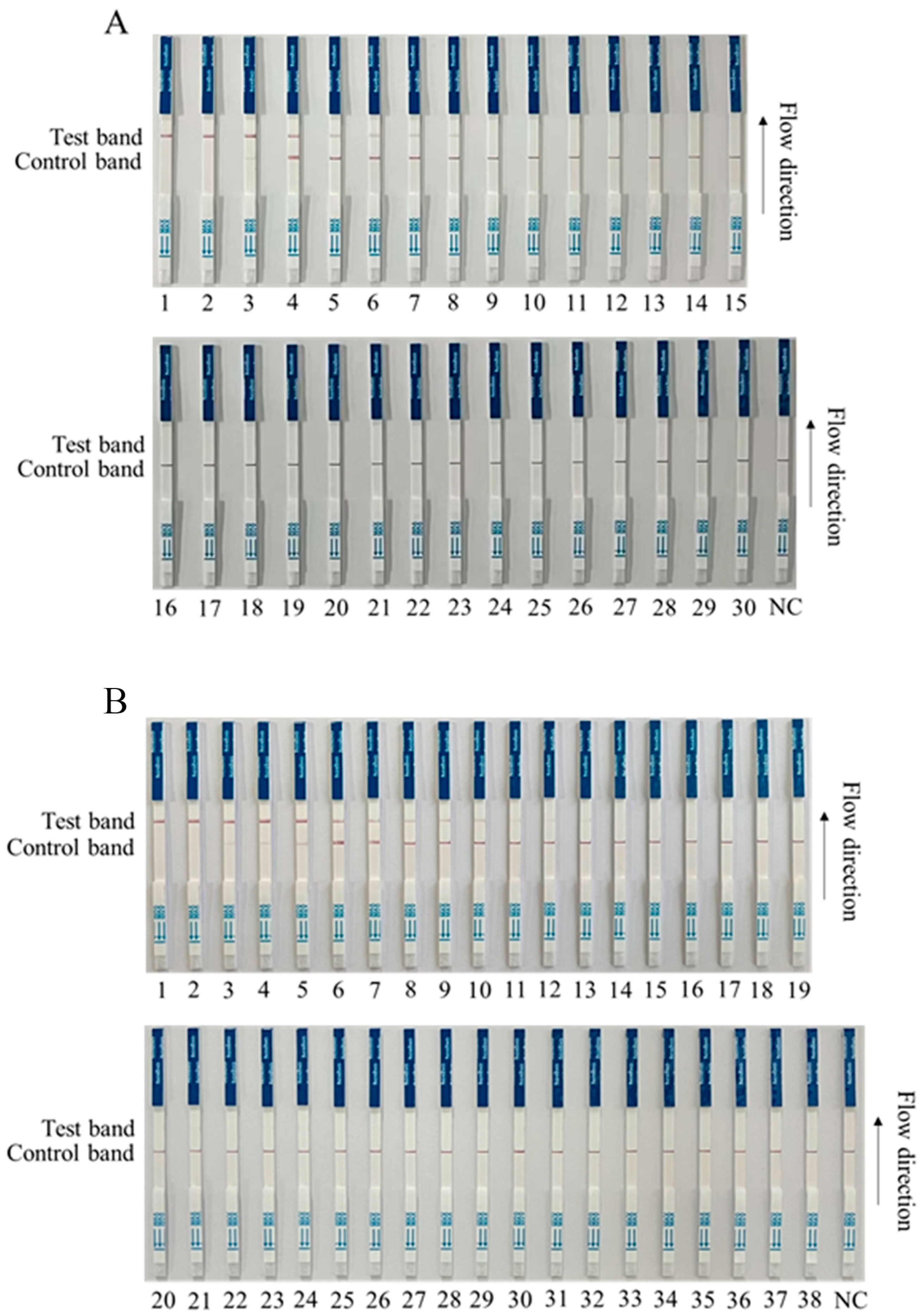 Animals 13 03712 g006