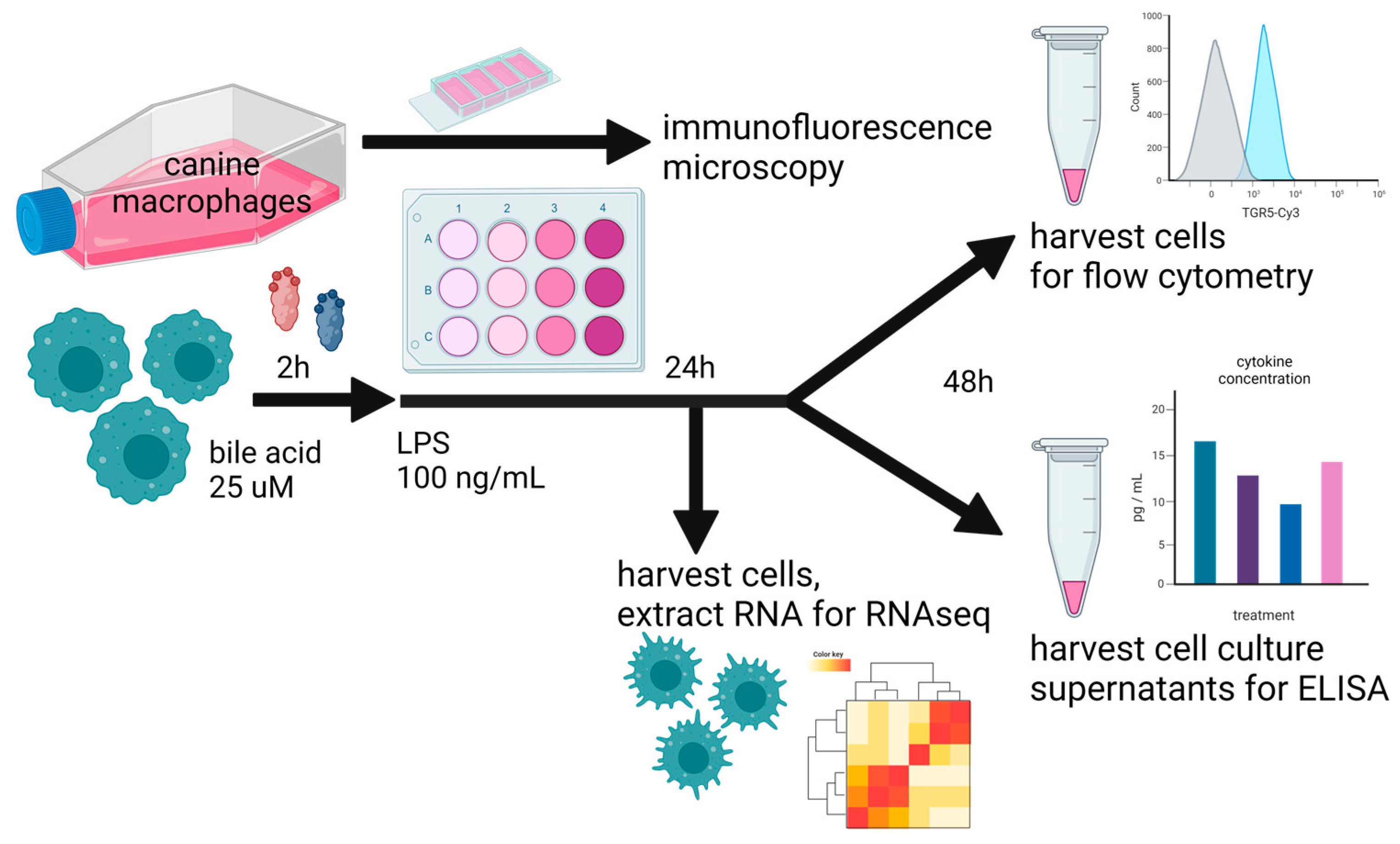 Animals 13 03714 g001 Animals 13 03714 g001