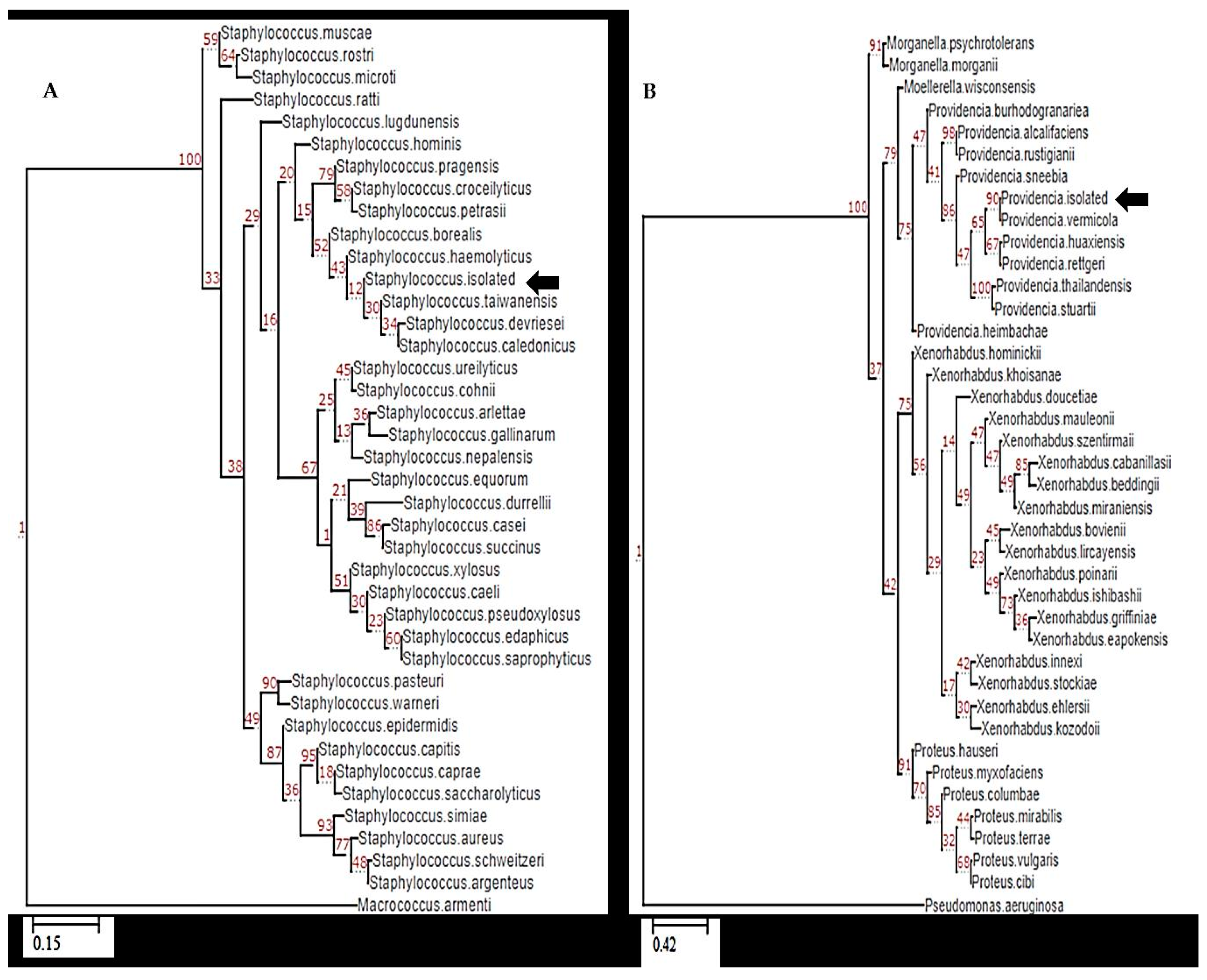 Animals 13 03715 g003