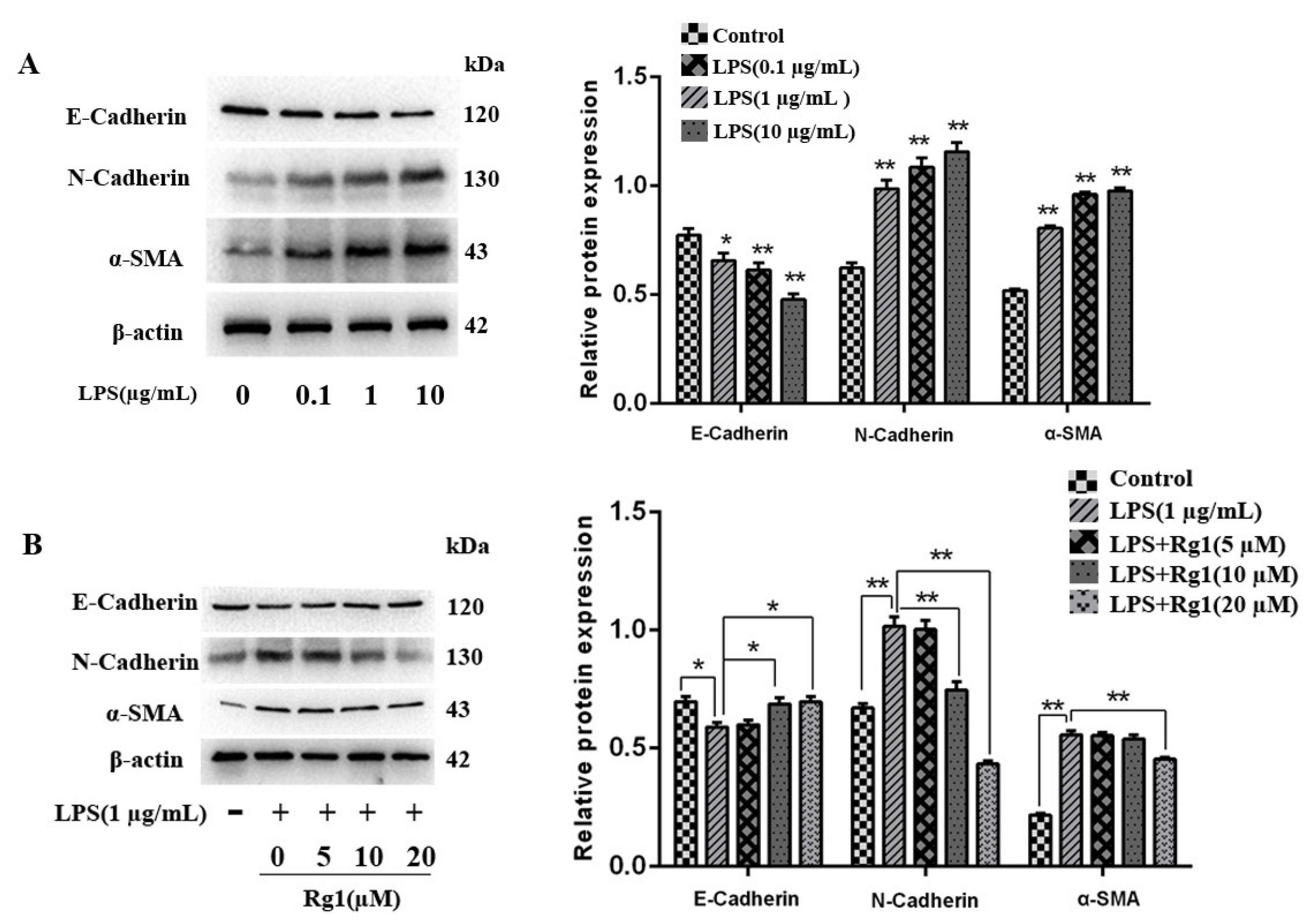 Animals 13 03723 g001