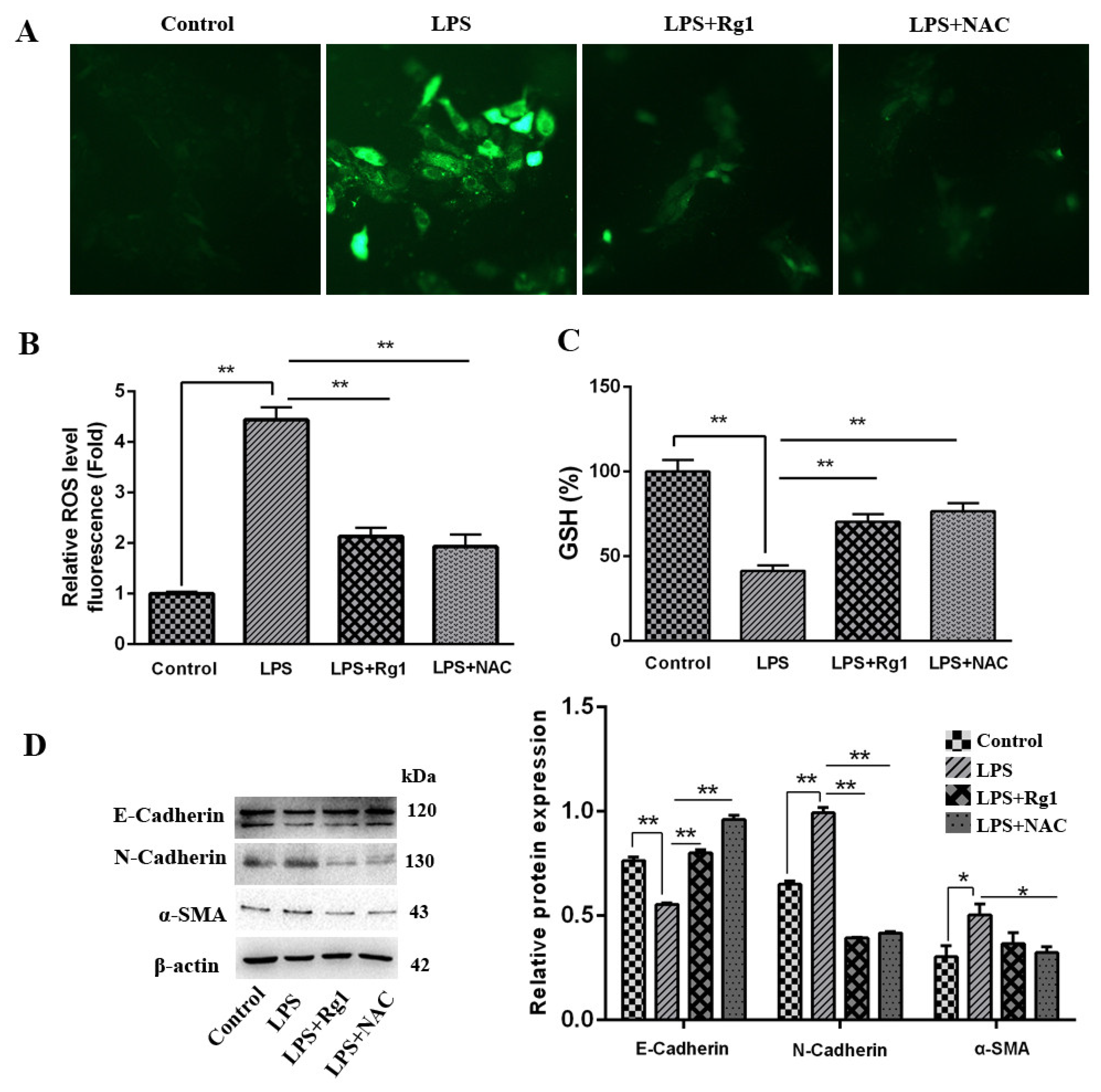 Animals 13 03723 g002