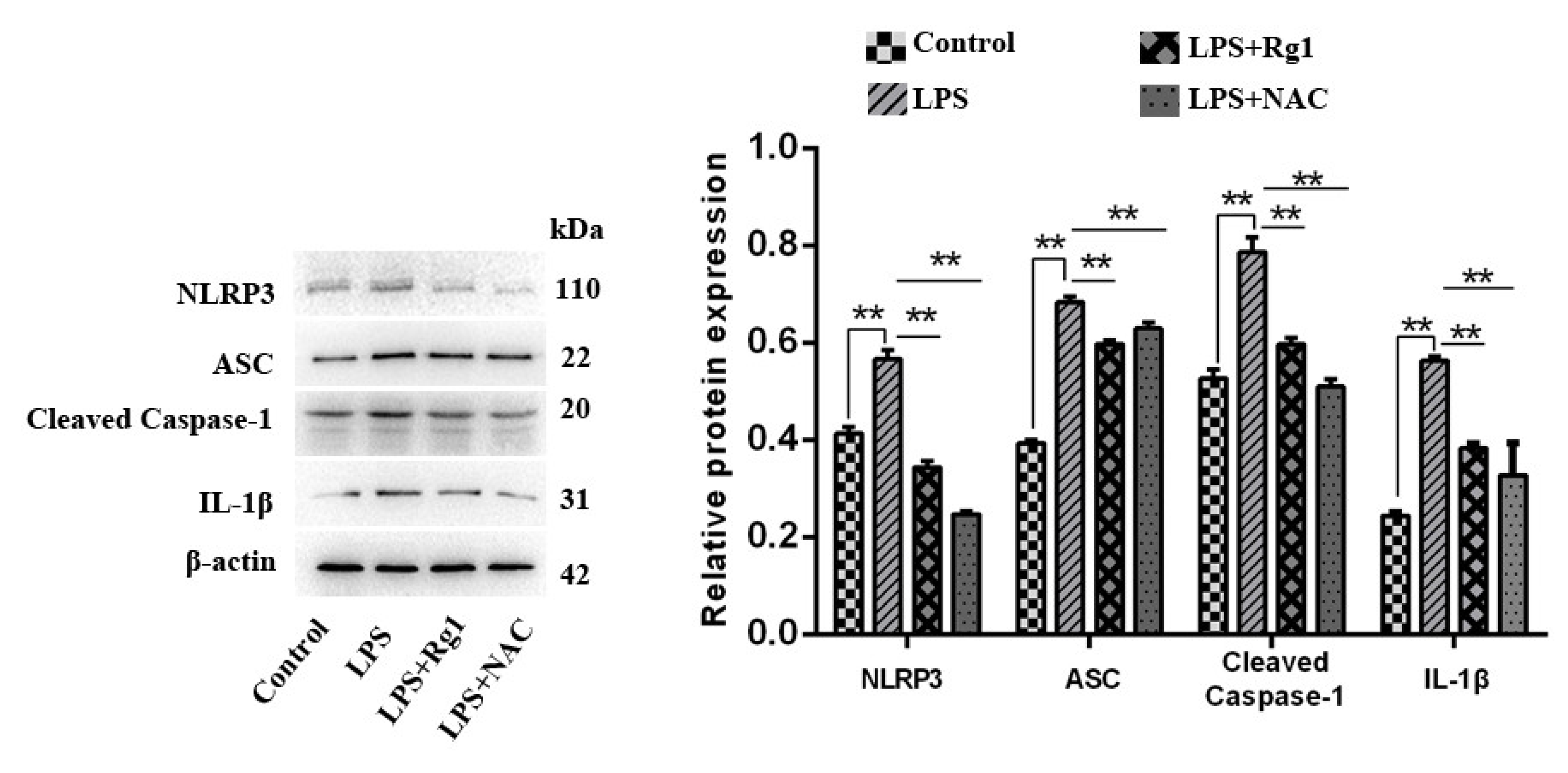 Animals 13 03723 g003