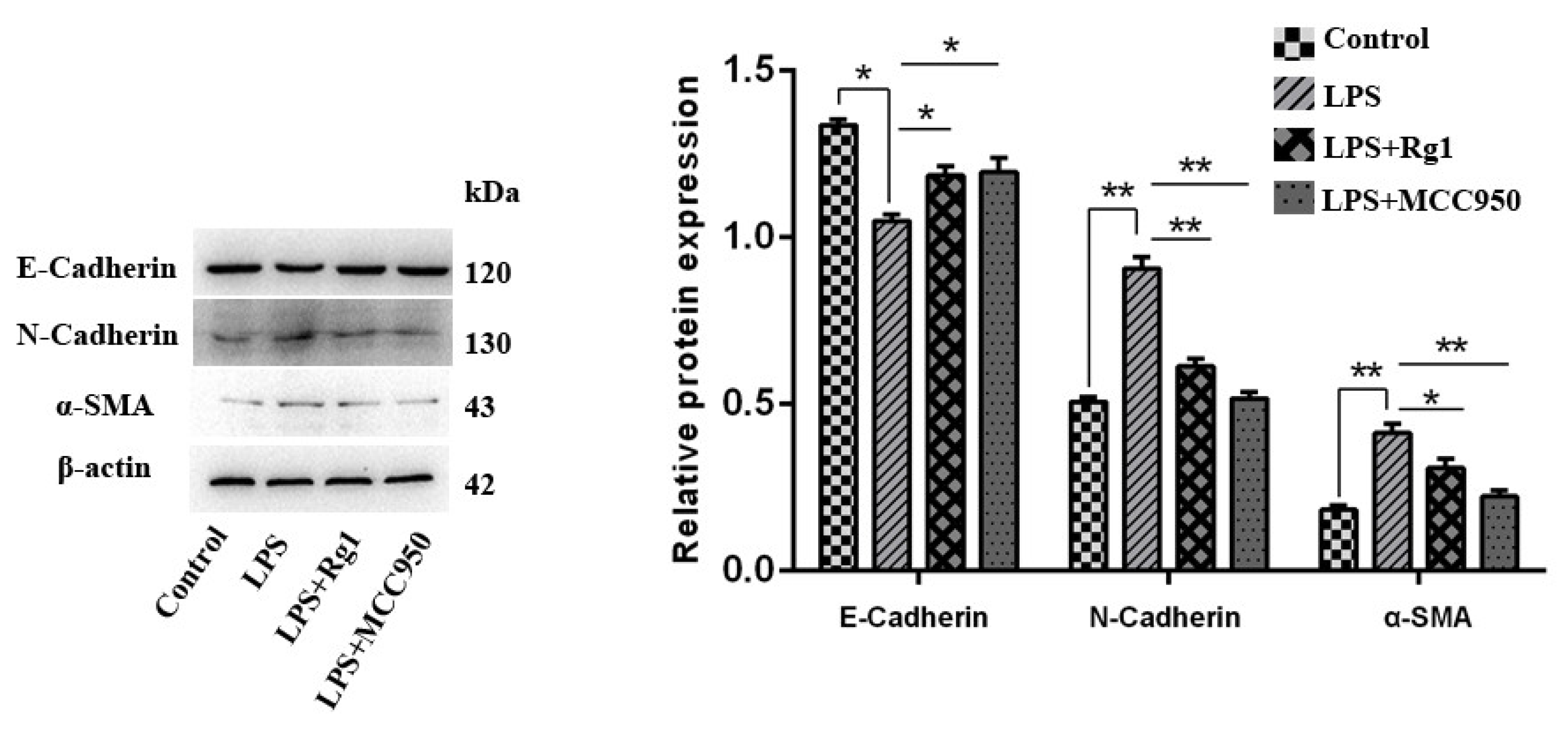 Animals 13 03723 g004