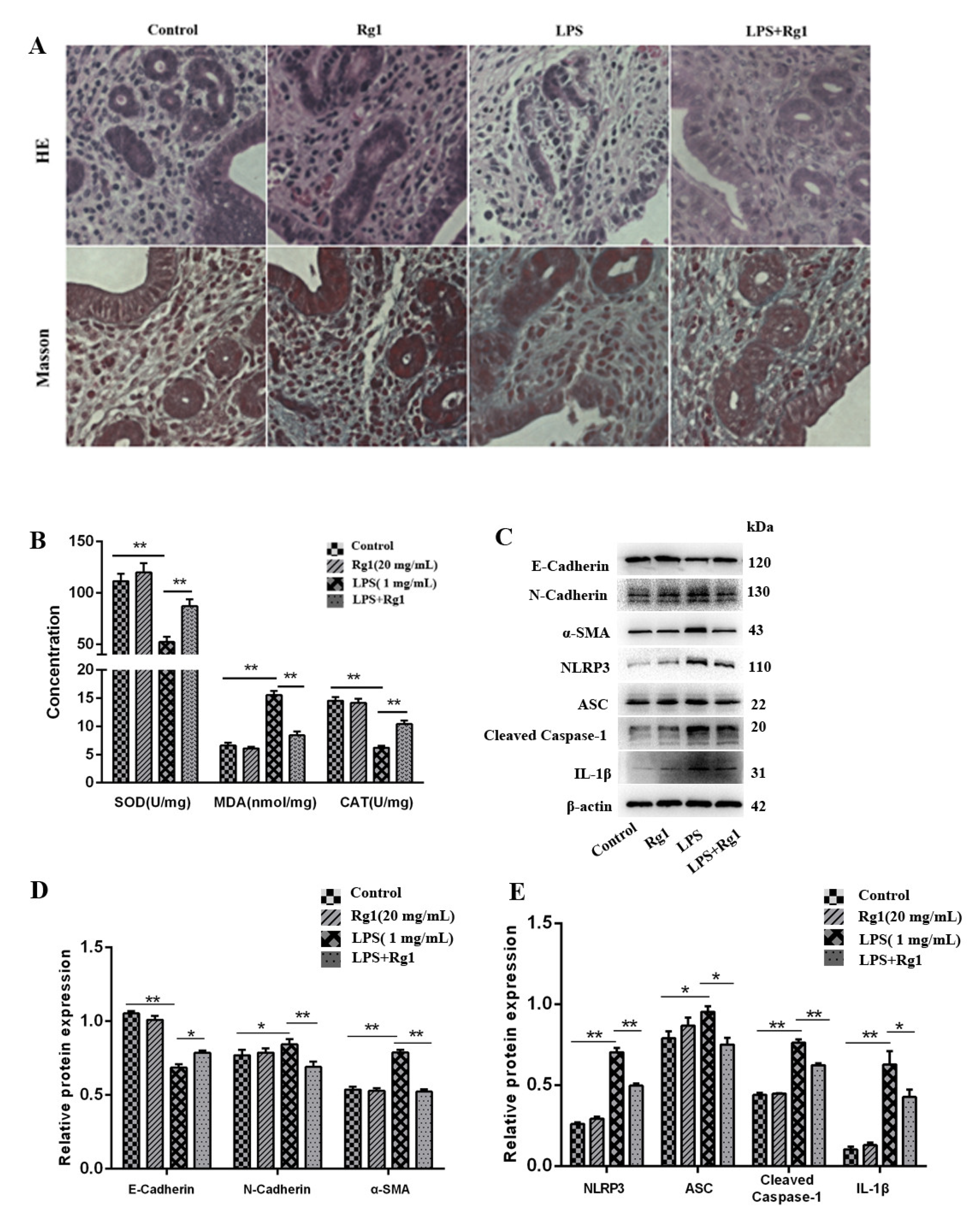 Animals 13 03723 g005