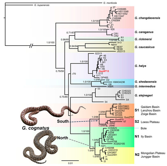 Animals 13 03726 g002