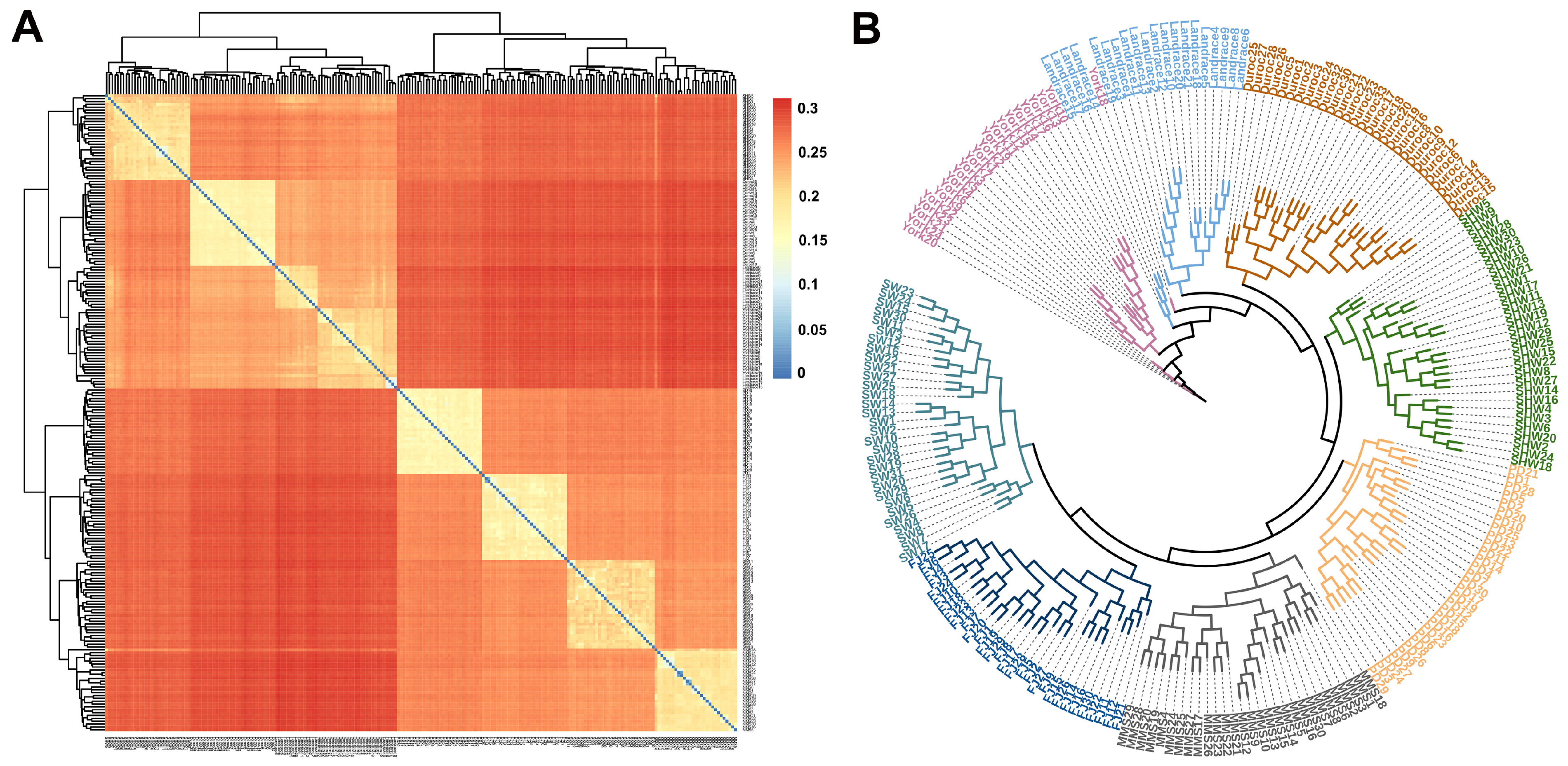 Animals 13 03727 g003