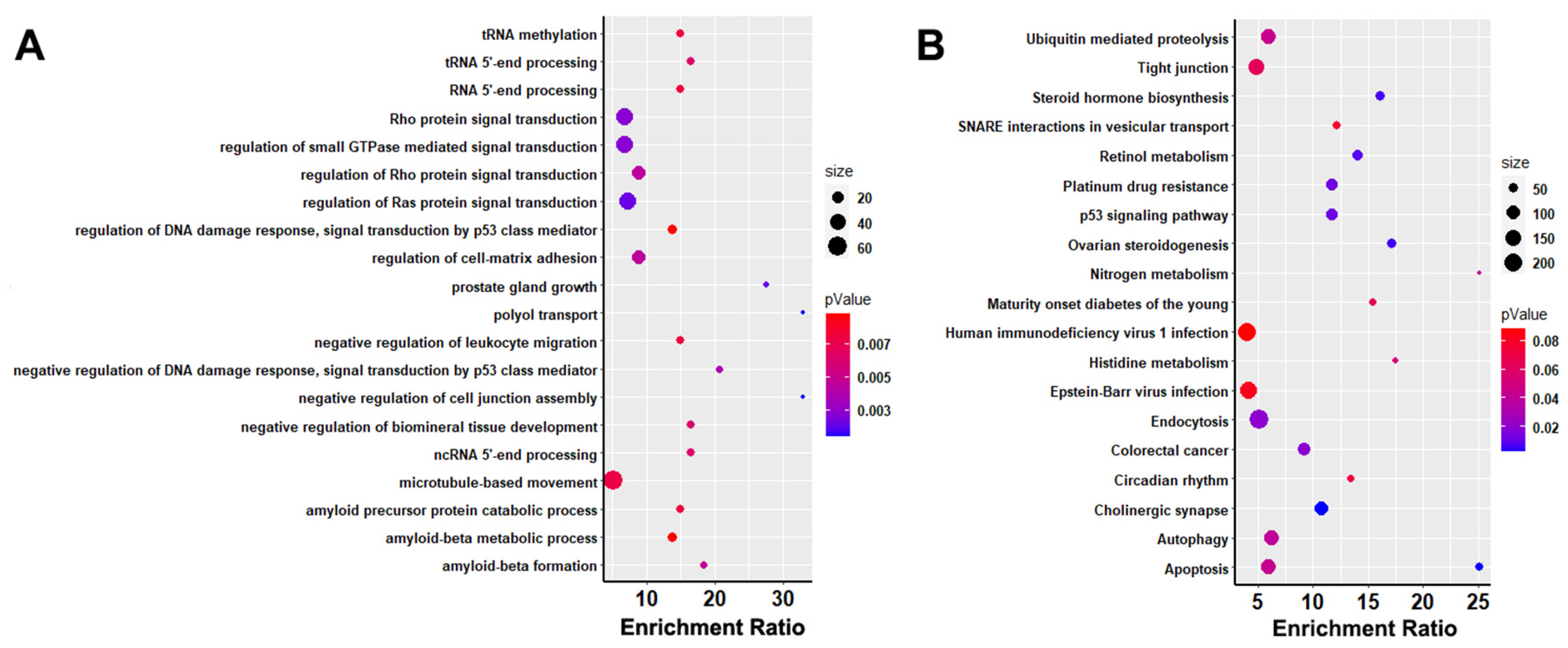 Animals 13 03727 g005