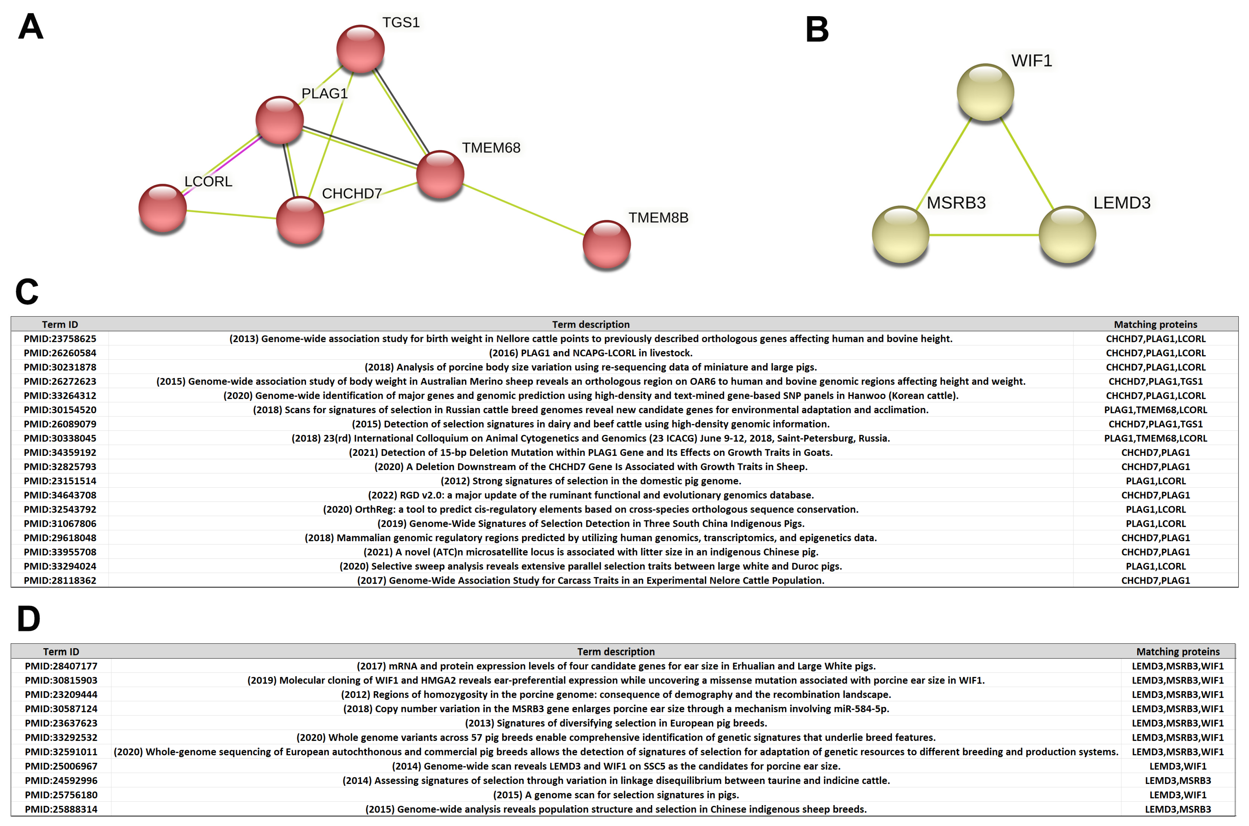 Animals 13 03727 g006
