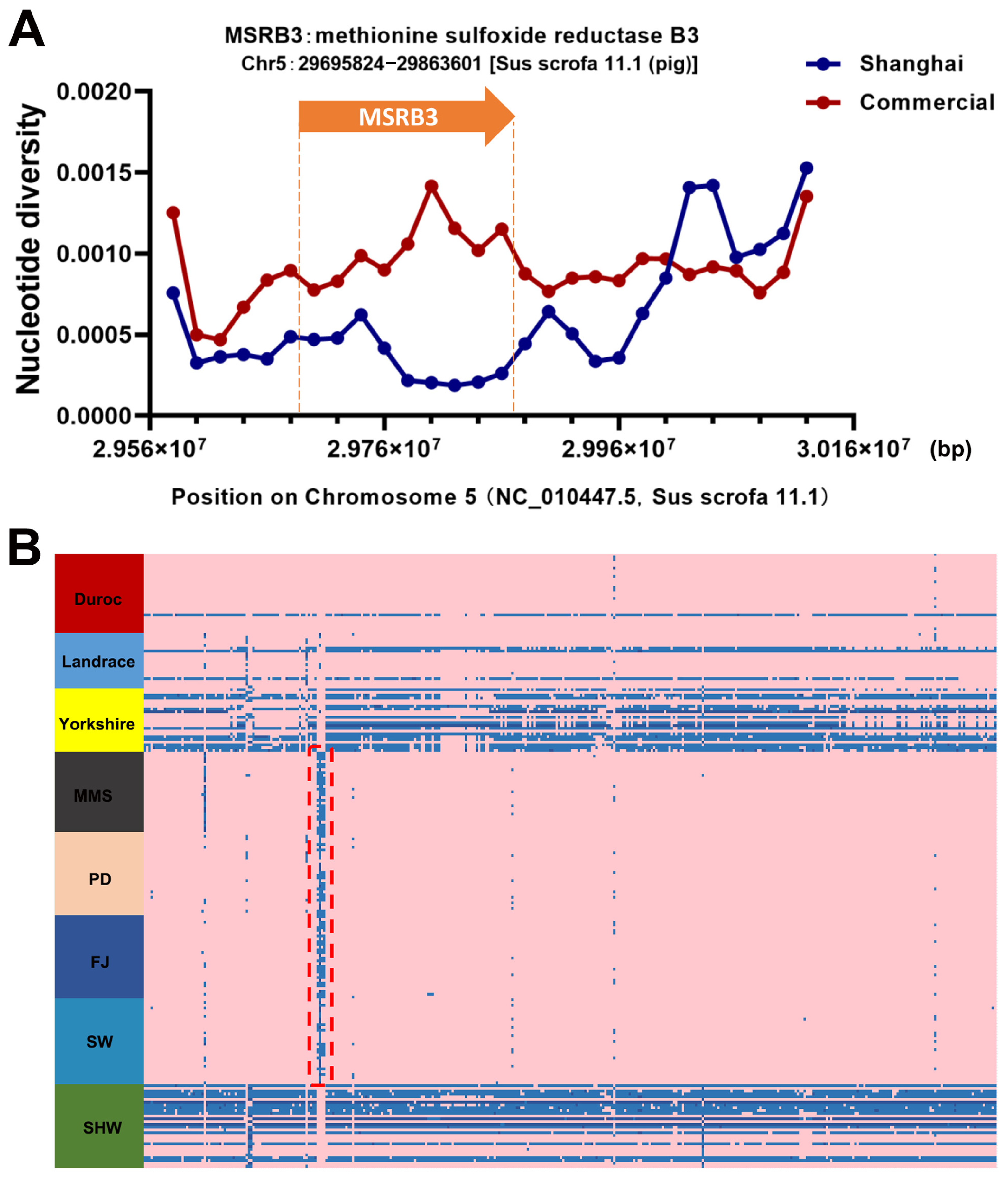 Animals 13 03727 g007