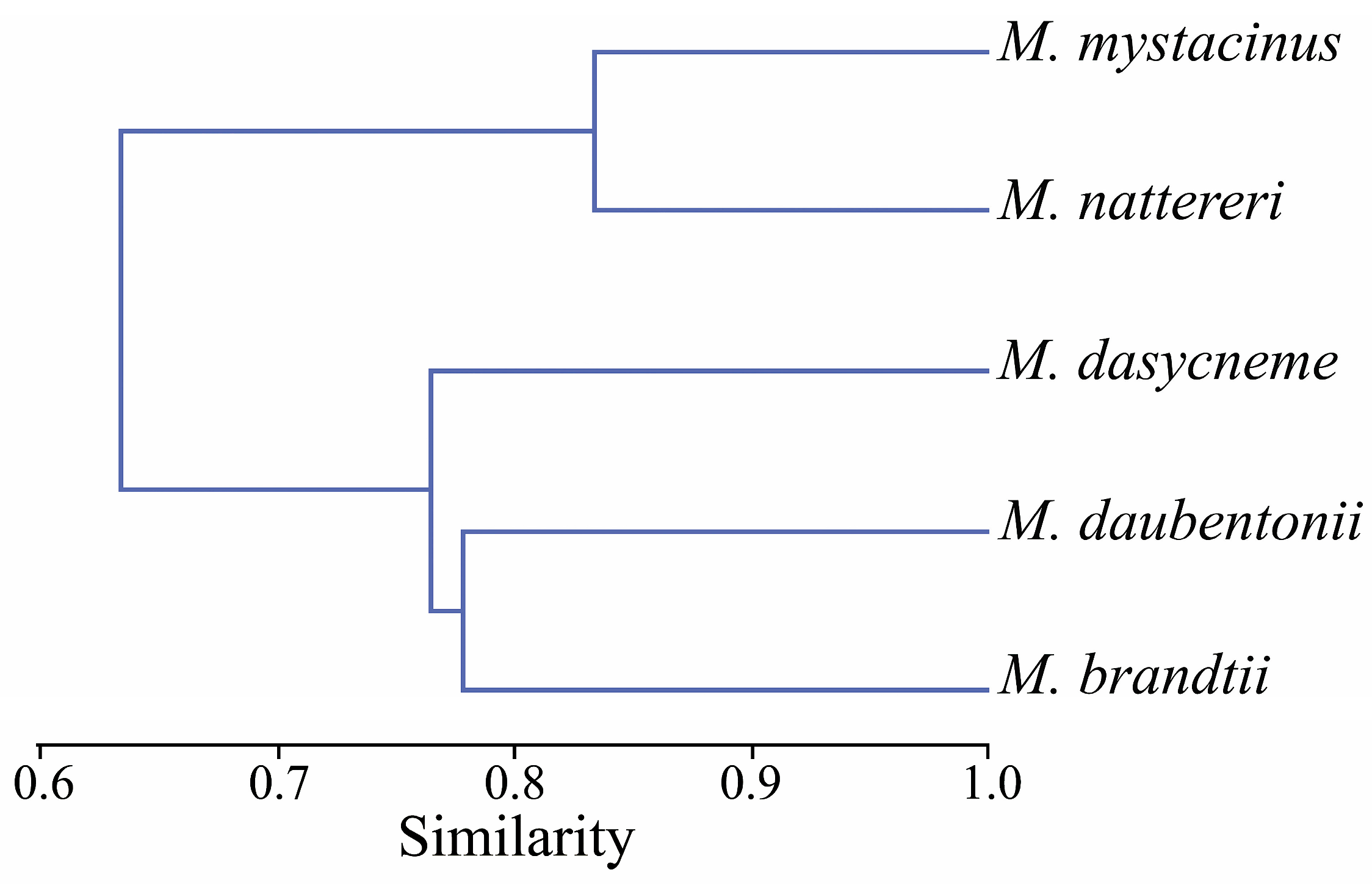 Animals 13 03738 g003