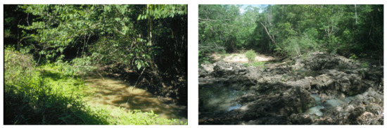 Animals 13 03744 g0a1