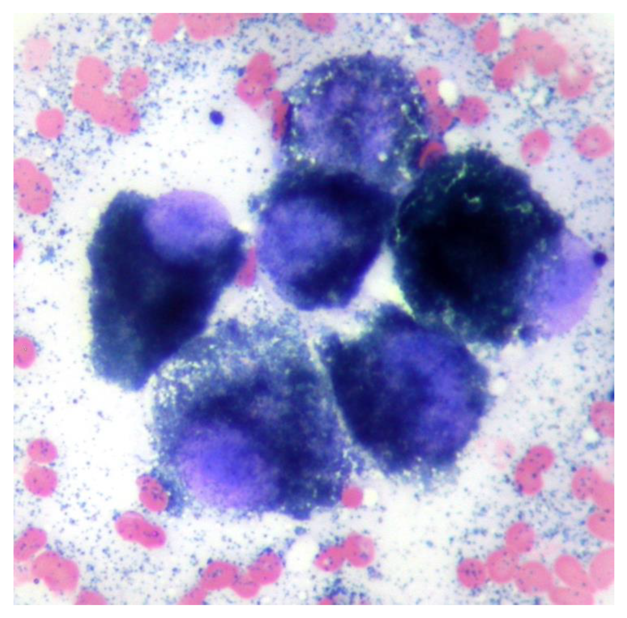 Animals 13 03751 g002