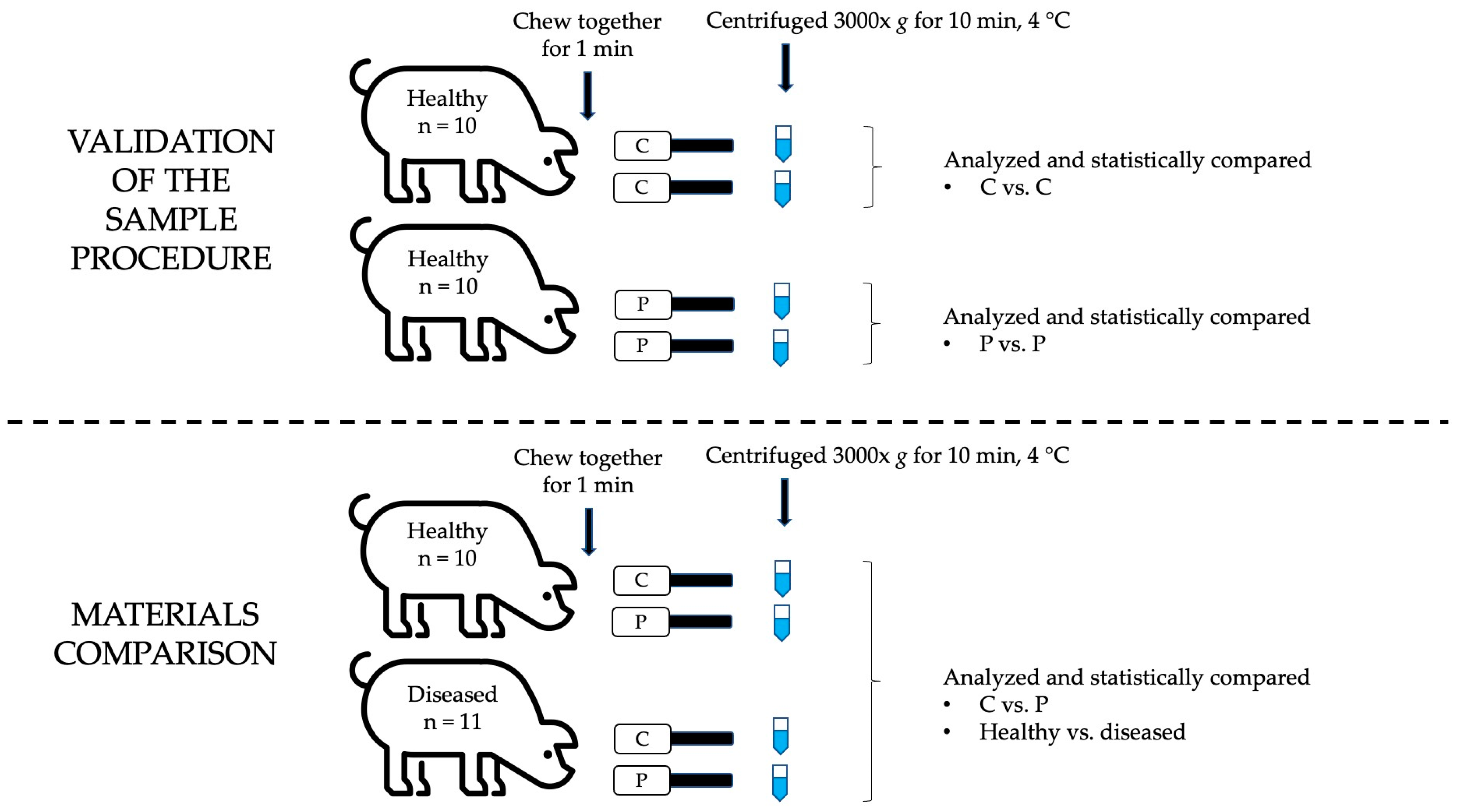Animals 13 03757 g001