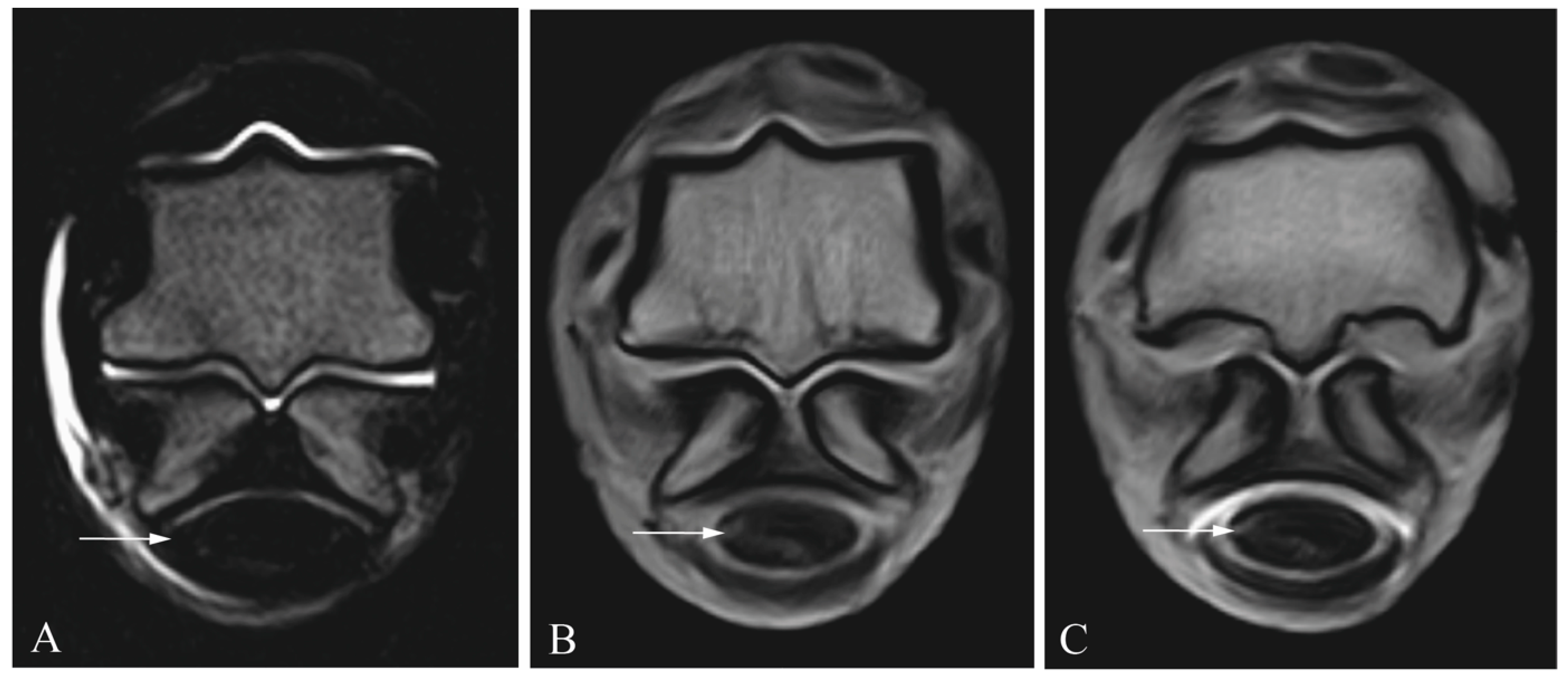 Animals 13 03772 g003 Animals 13 03772 g003