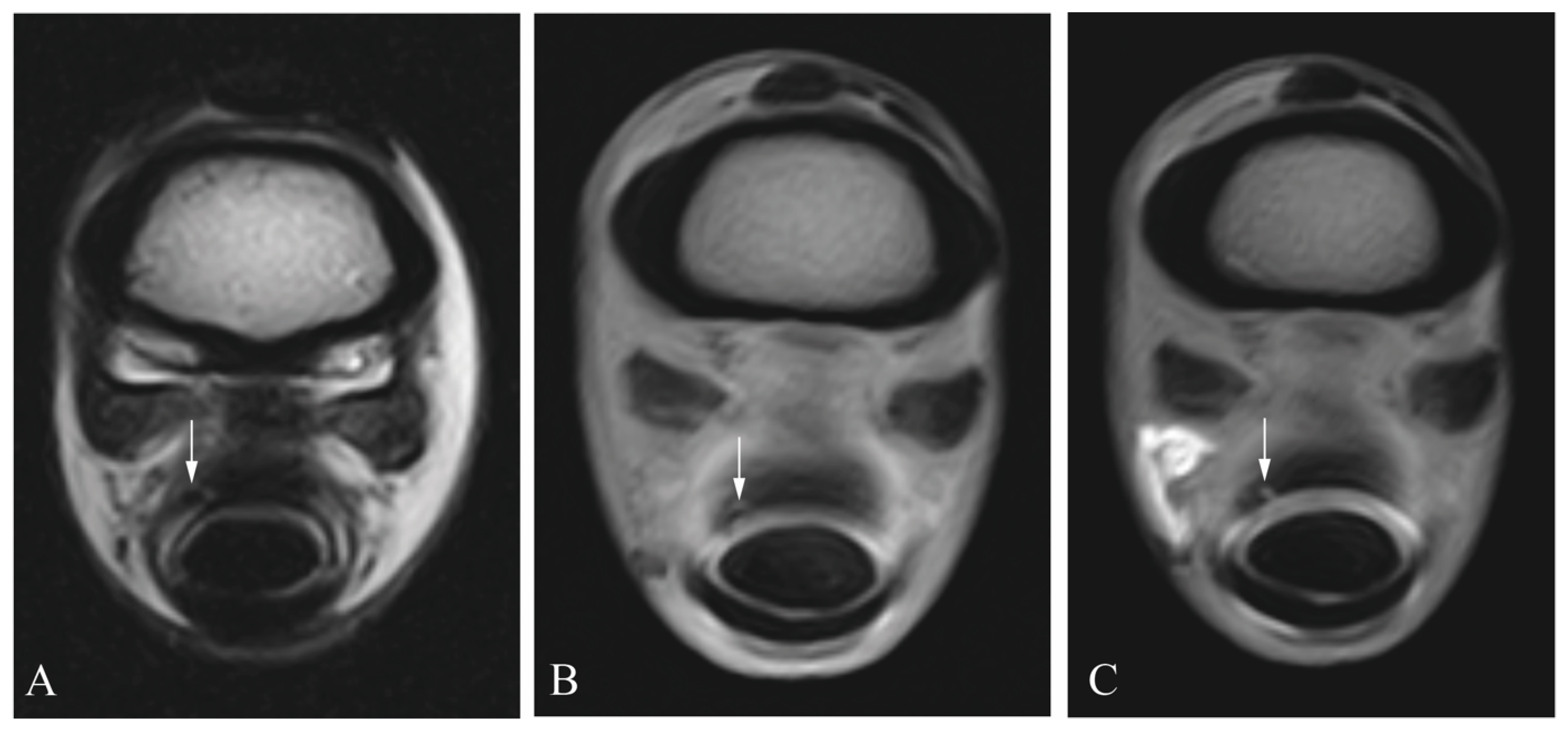 Animals 13 03772 g005 Animals 13 03772 g005