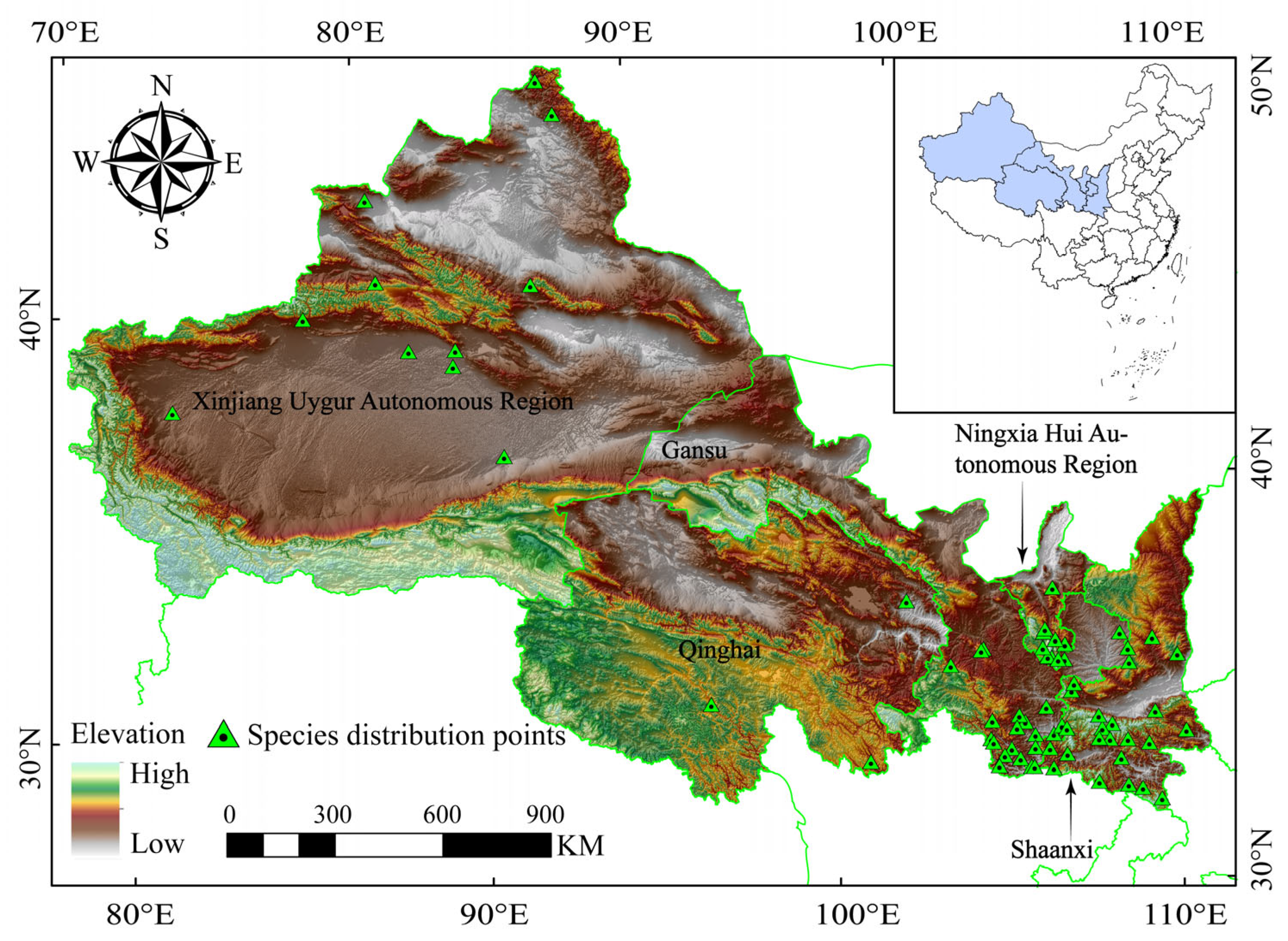 Animals 13 03788 g001
