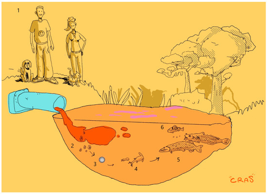 Animals 13 03793 g003