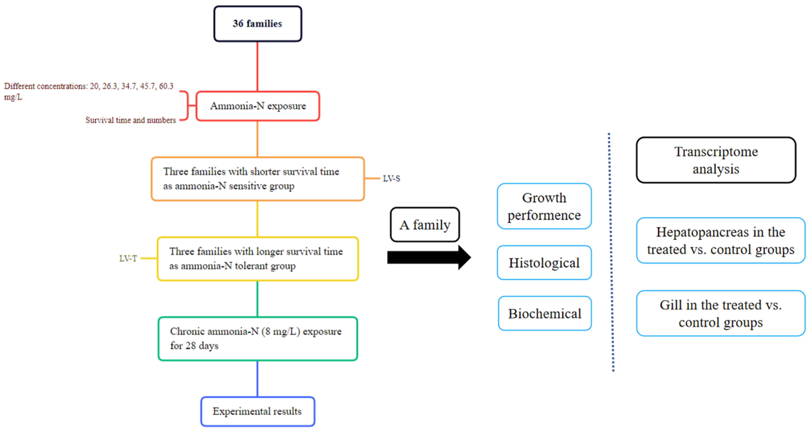 Animals 13 03799 g001