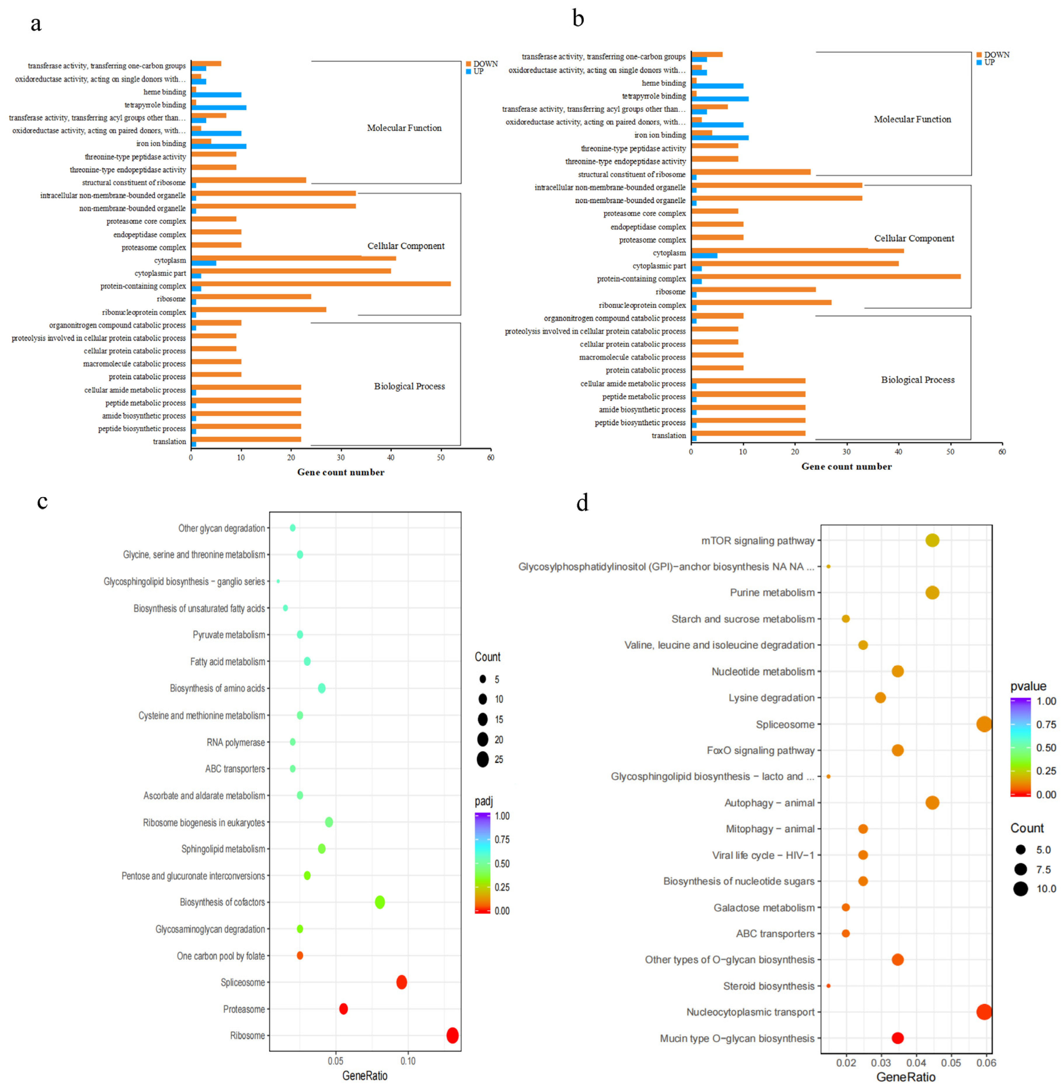 Animals 13 03799 g005