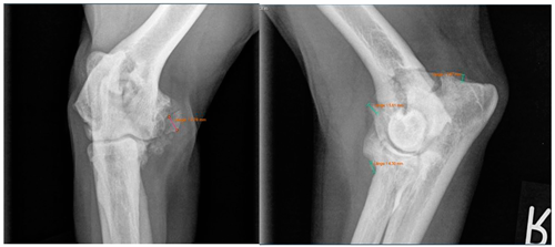 Animals 13 03803 i004