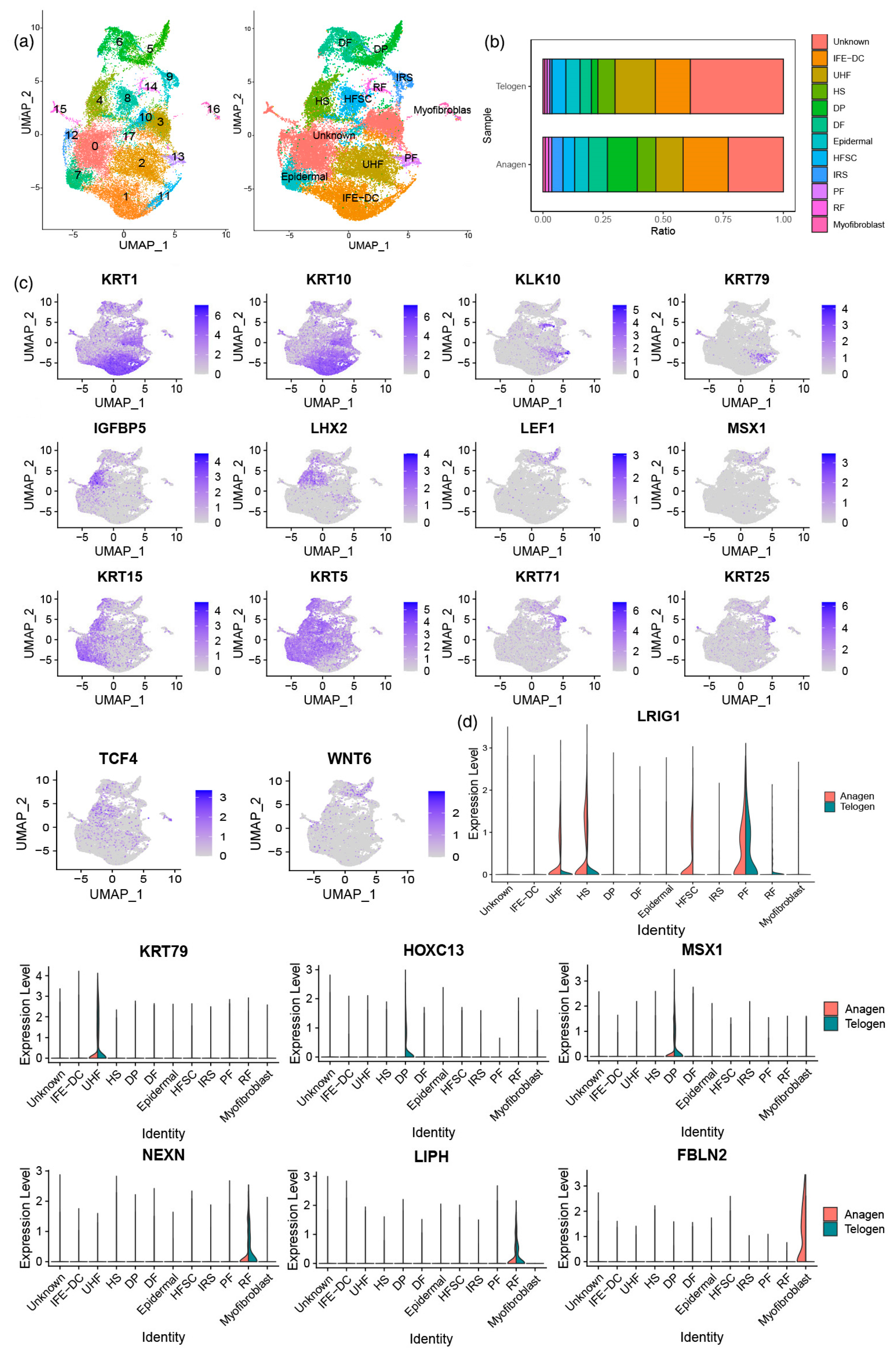 Animals 13 03818 g001