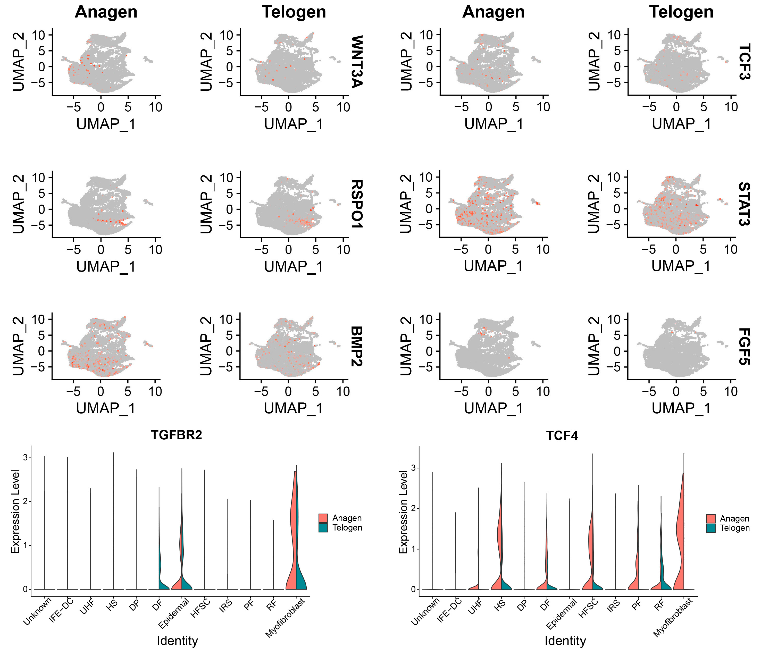 Animals 13 03818 g002