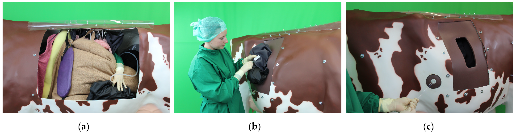 Animals 13 03822 g003