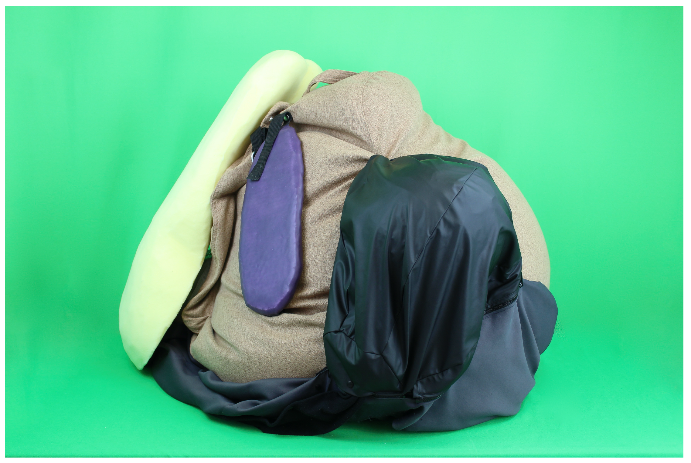 Animals 13 03822 g004