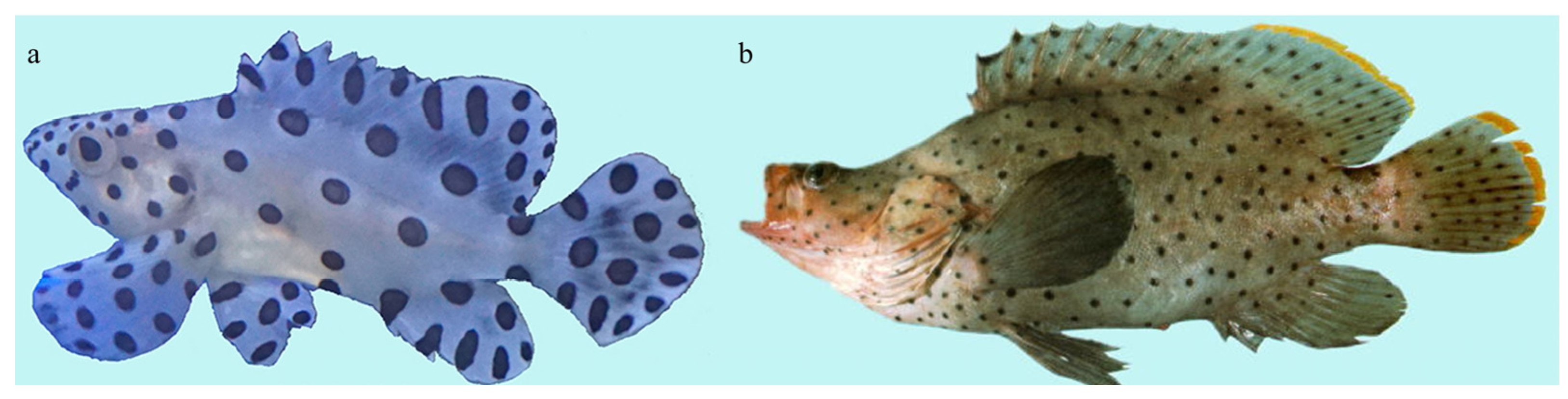 Animals 13 03840 g001