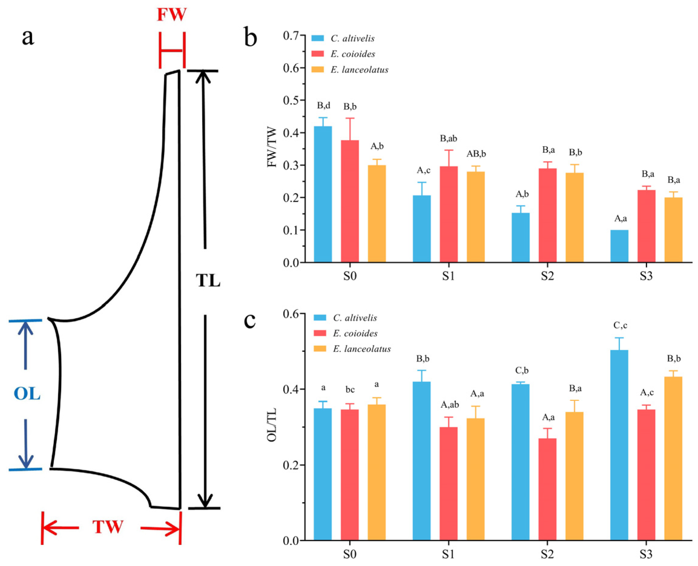Animals 13 03840 g003