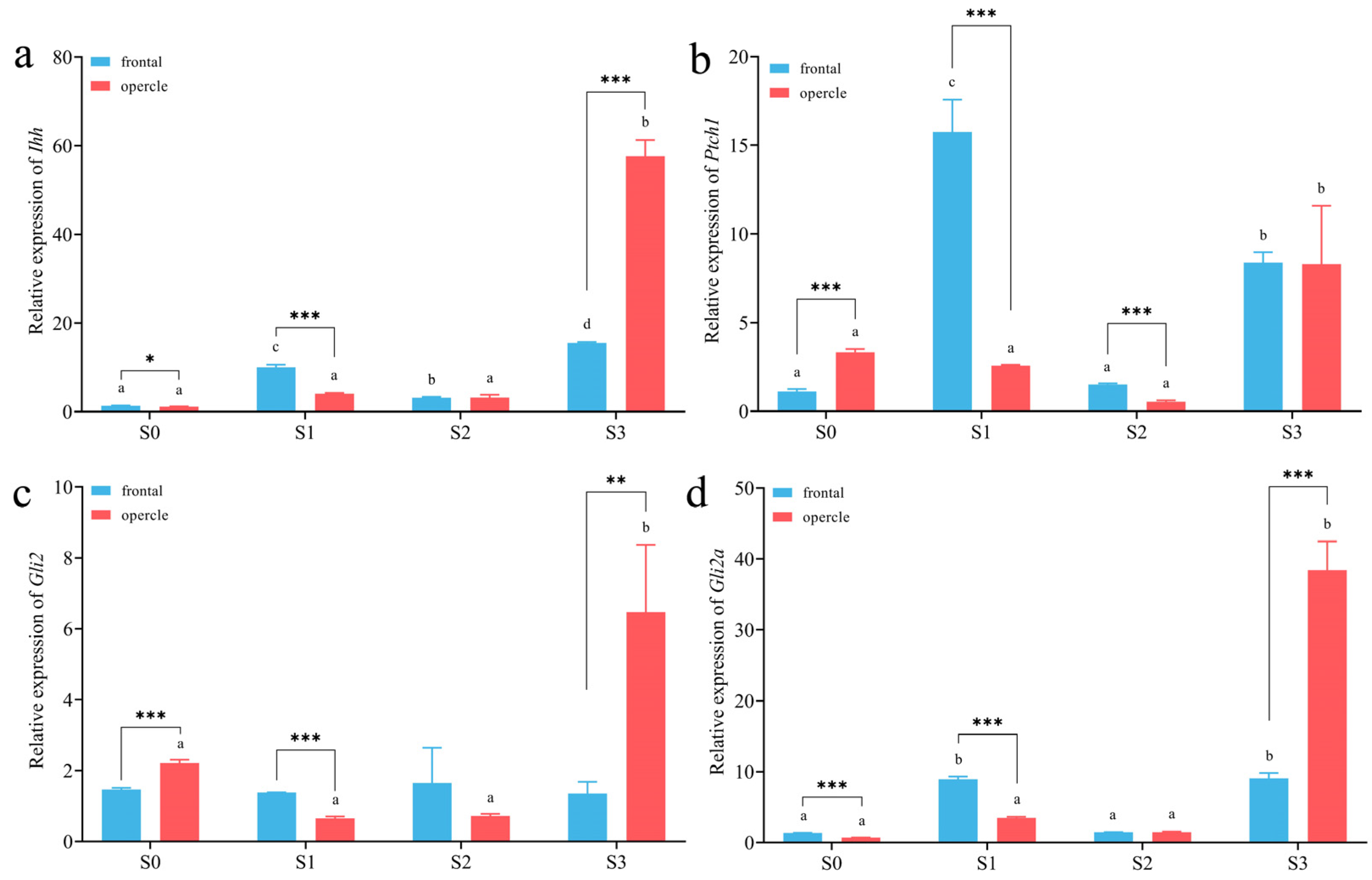 Animals 13 03840 g005