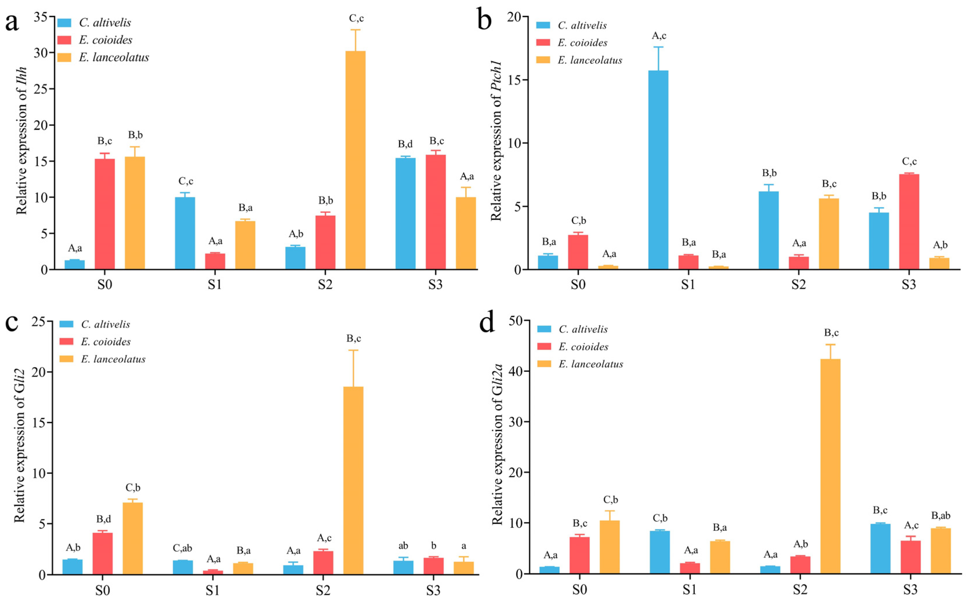 Animals 13 03840 g006