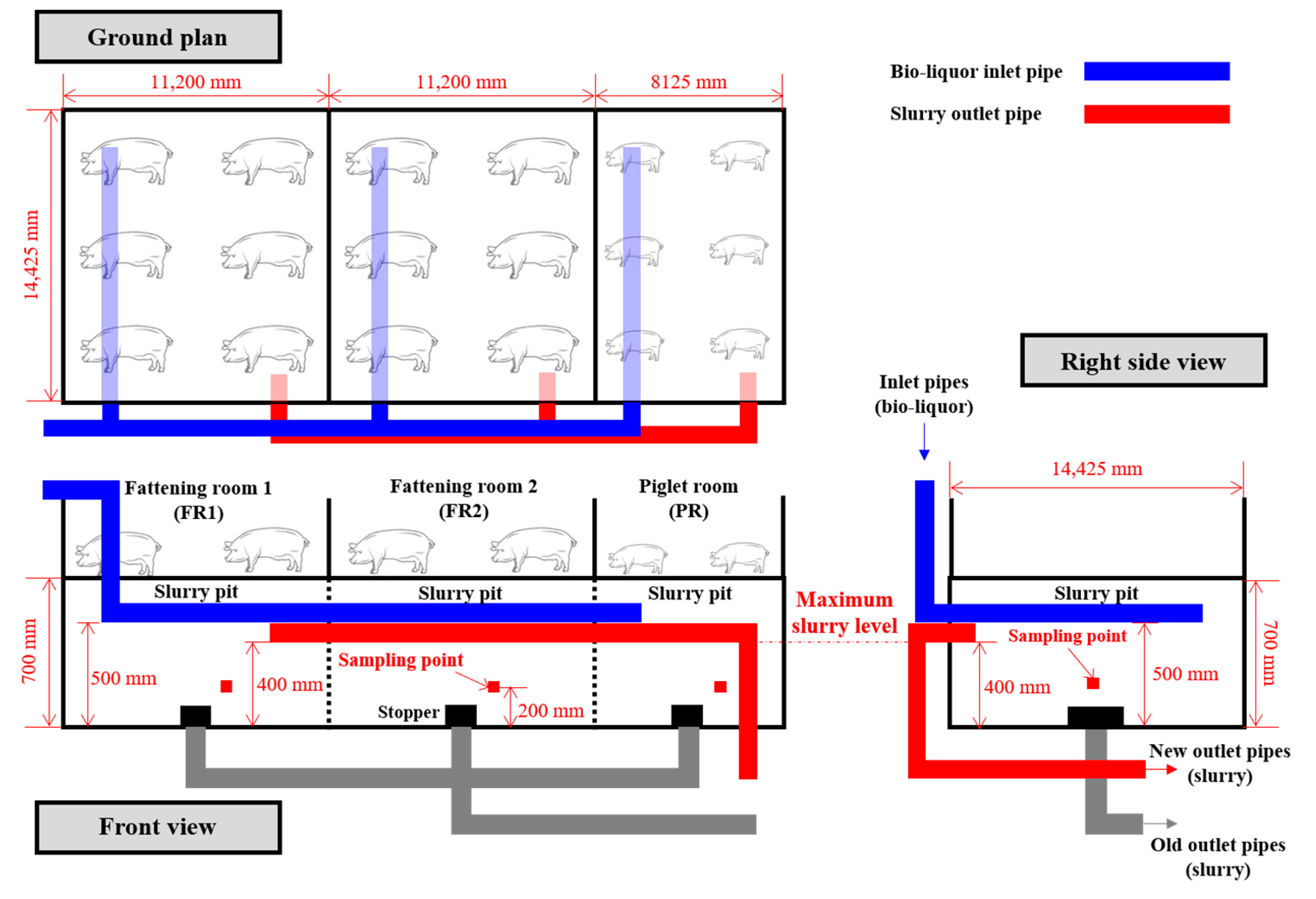 Animals 13 03849 g002