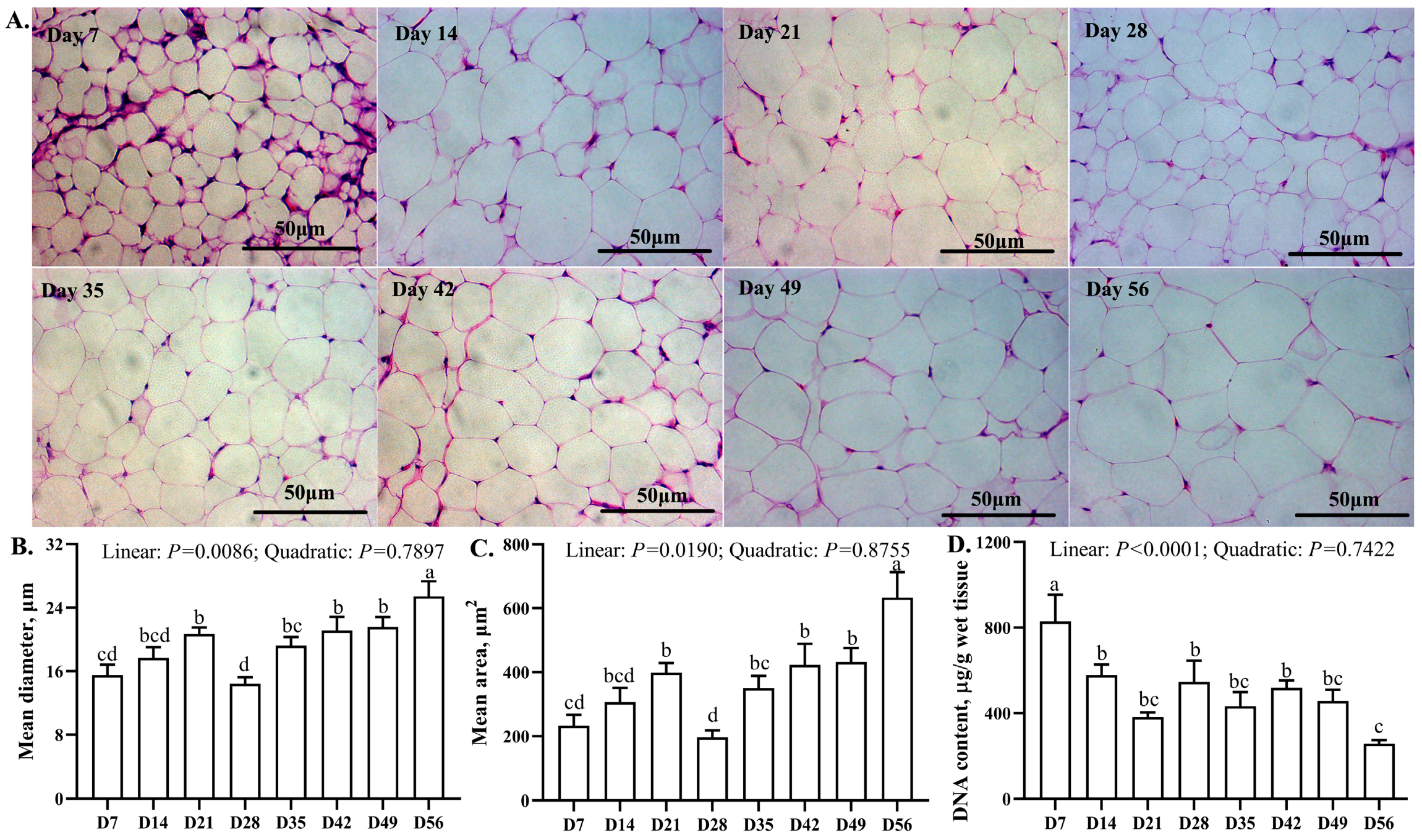 Animals 13 03860 g002