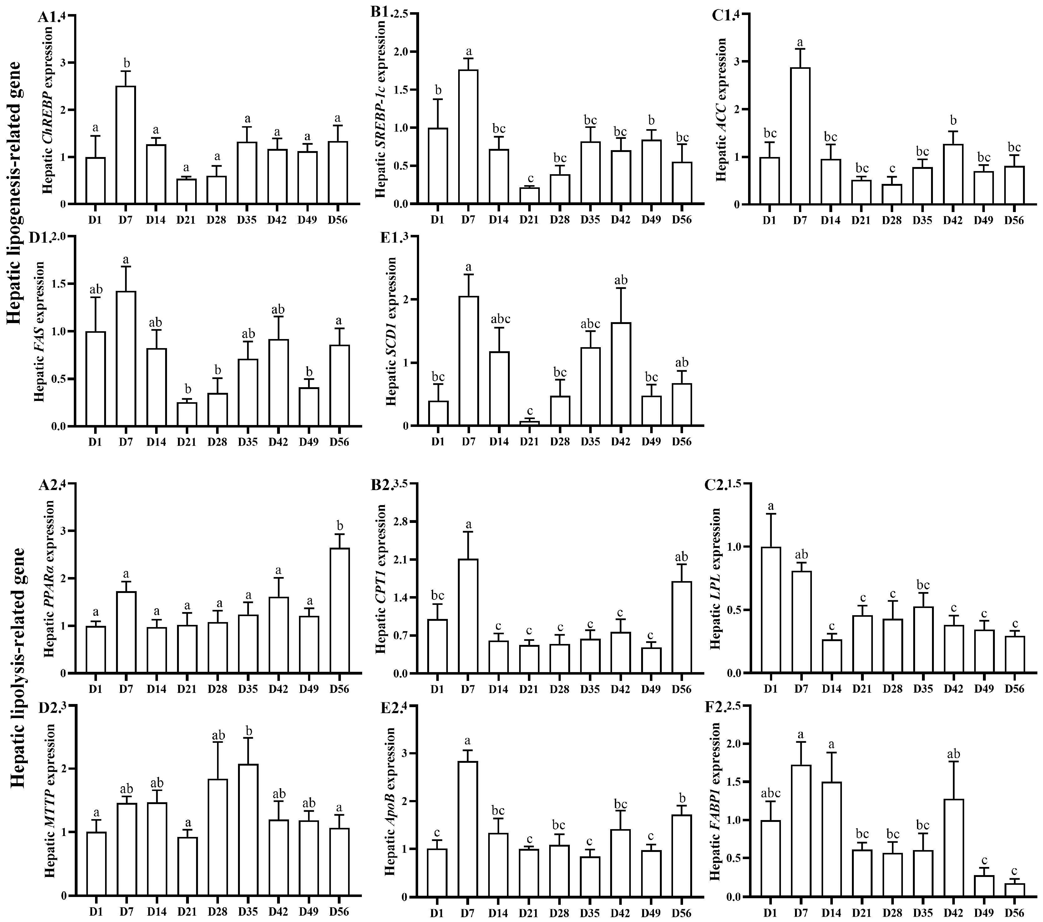 Animals 13 03860 g004