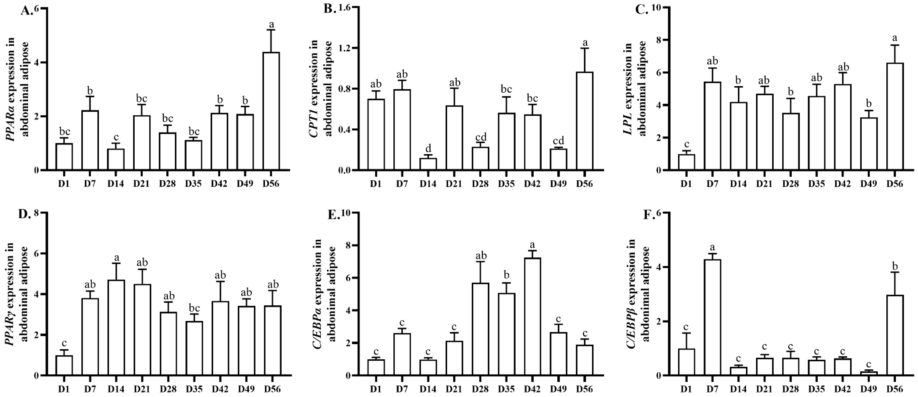 Animals 13 03860 g005